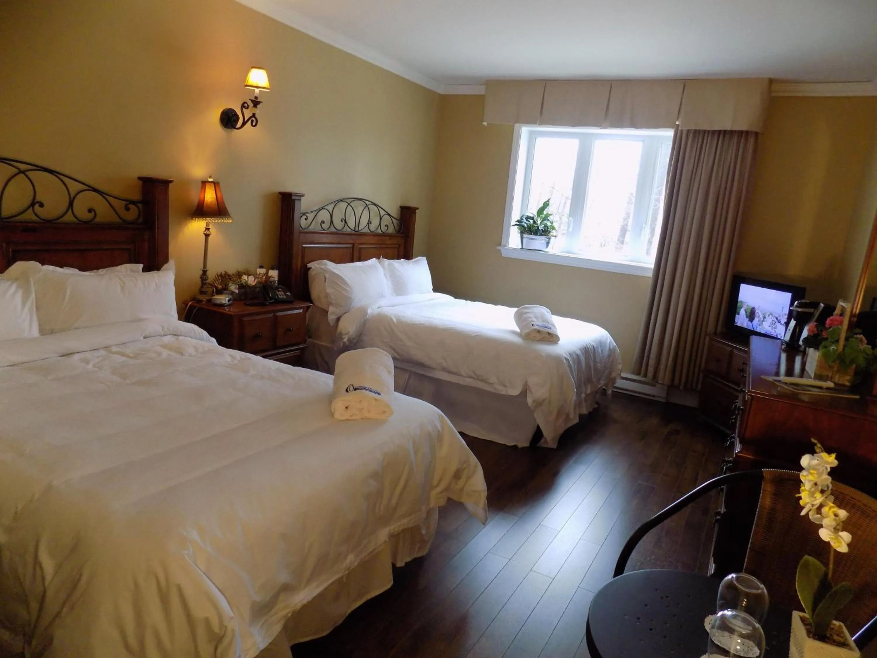 Photo of the whole room in L'Oasis de l'Île