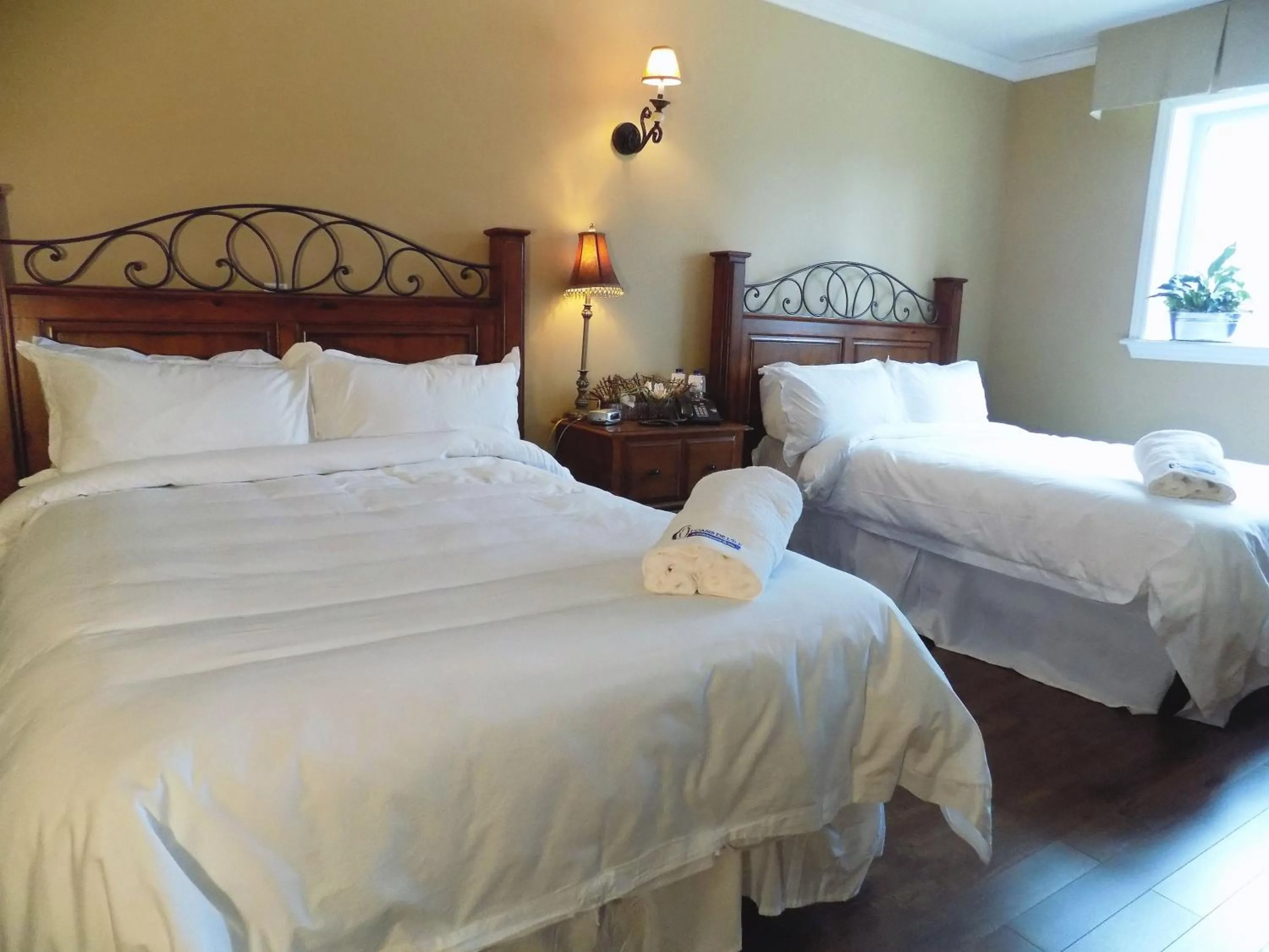 Photo of the whole room in L'Oasis de l'Île