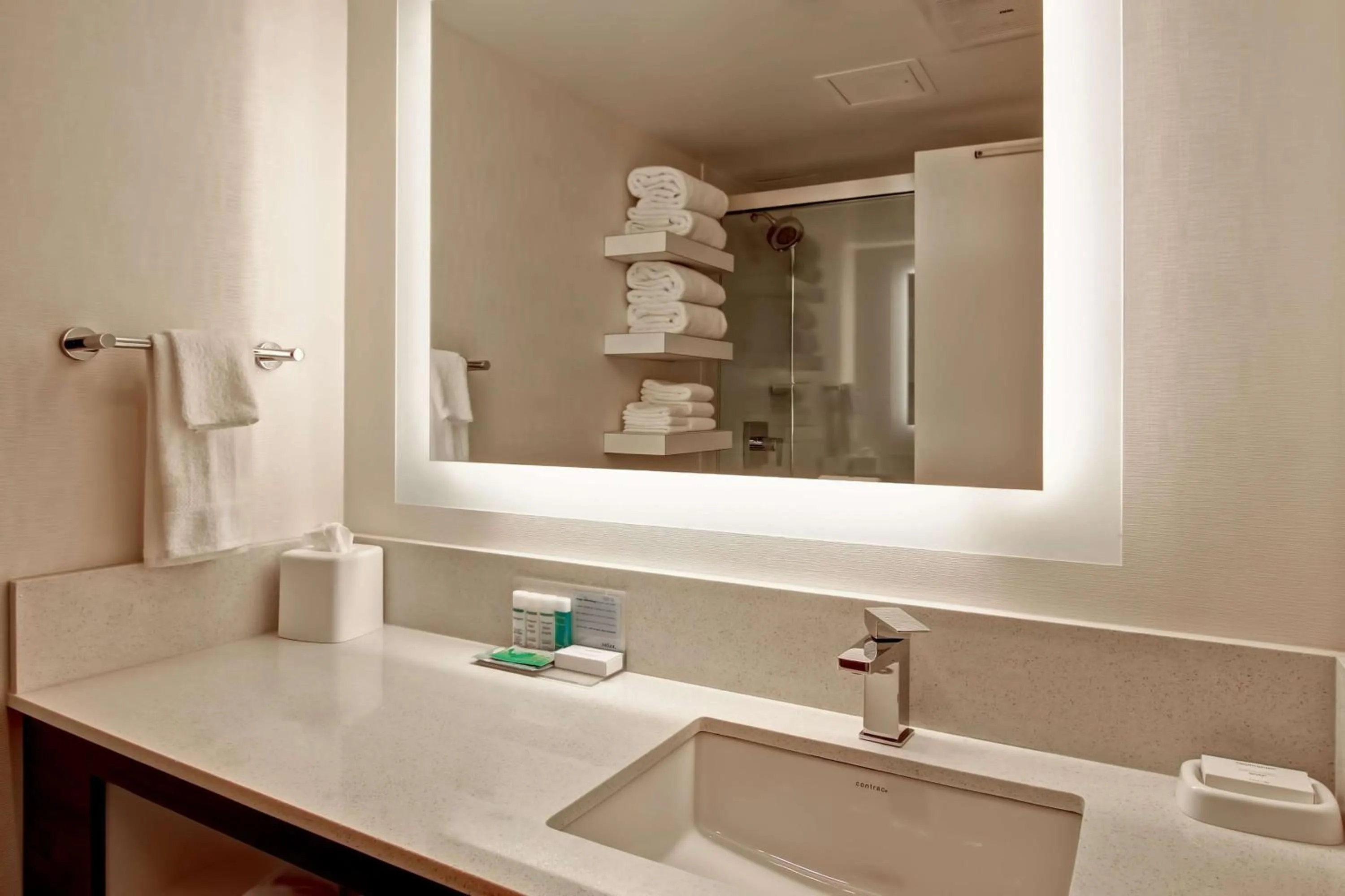 Bathroom in Hampton Inn & Suites by Hilton Calgary-Airport