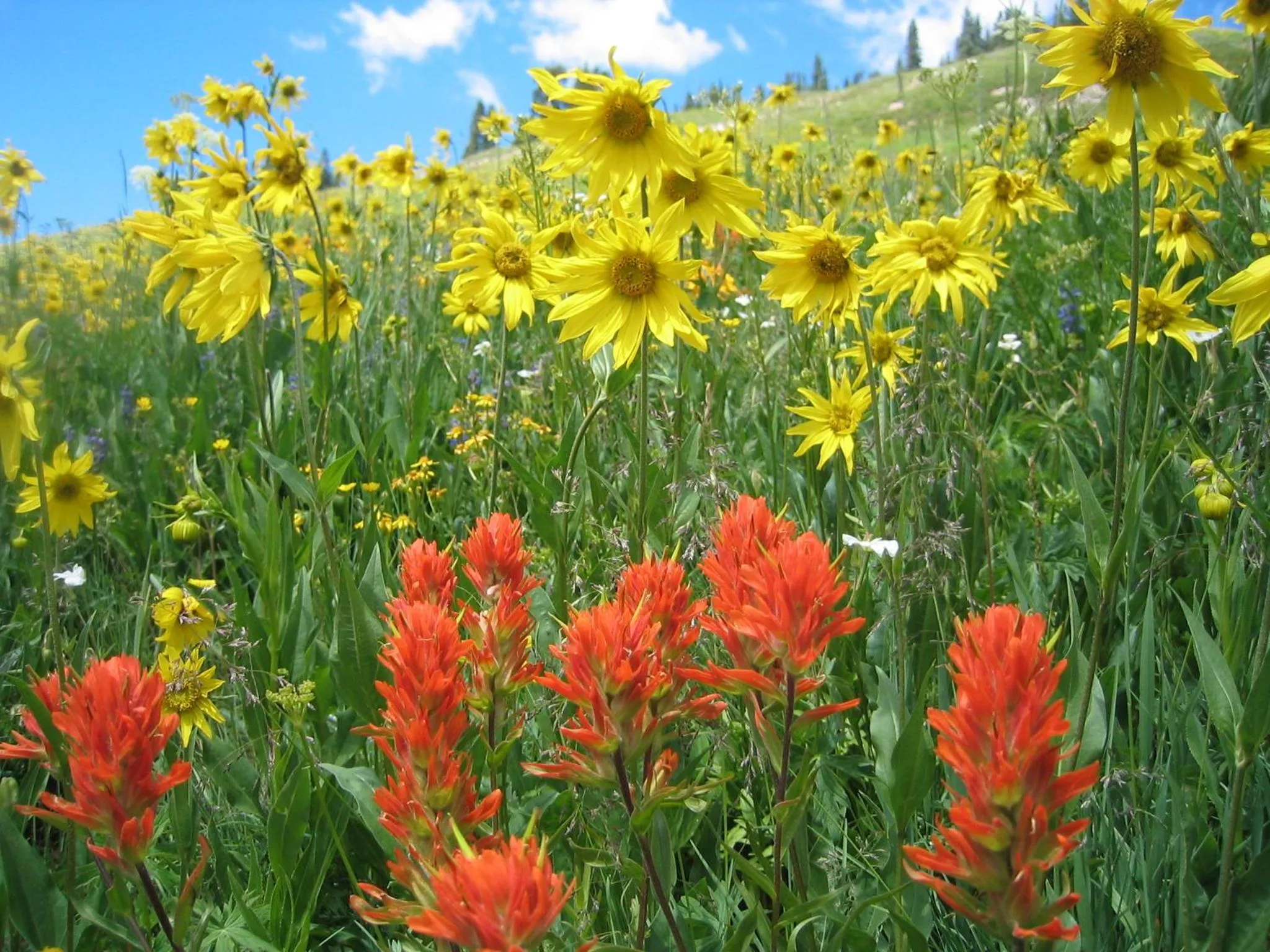 View (from property/room) in Cristiana Guesthaus
