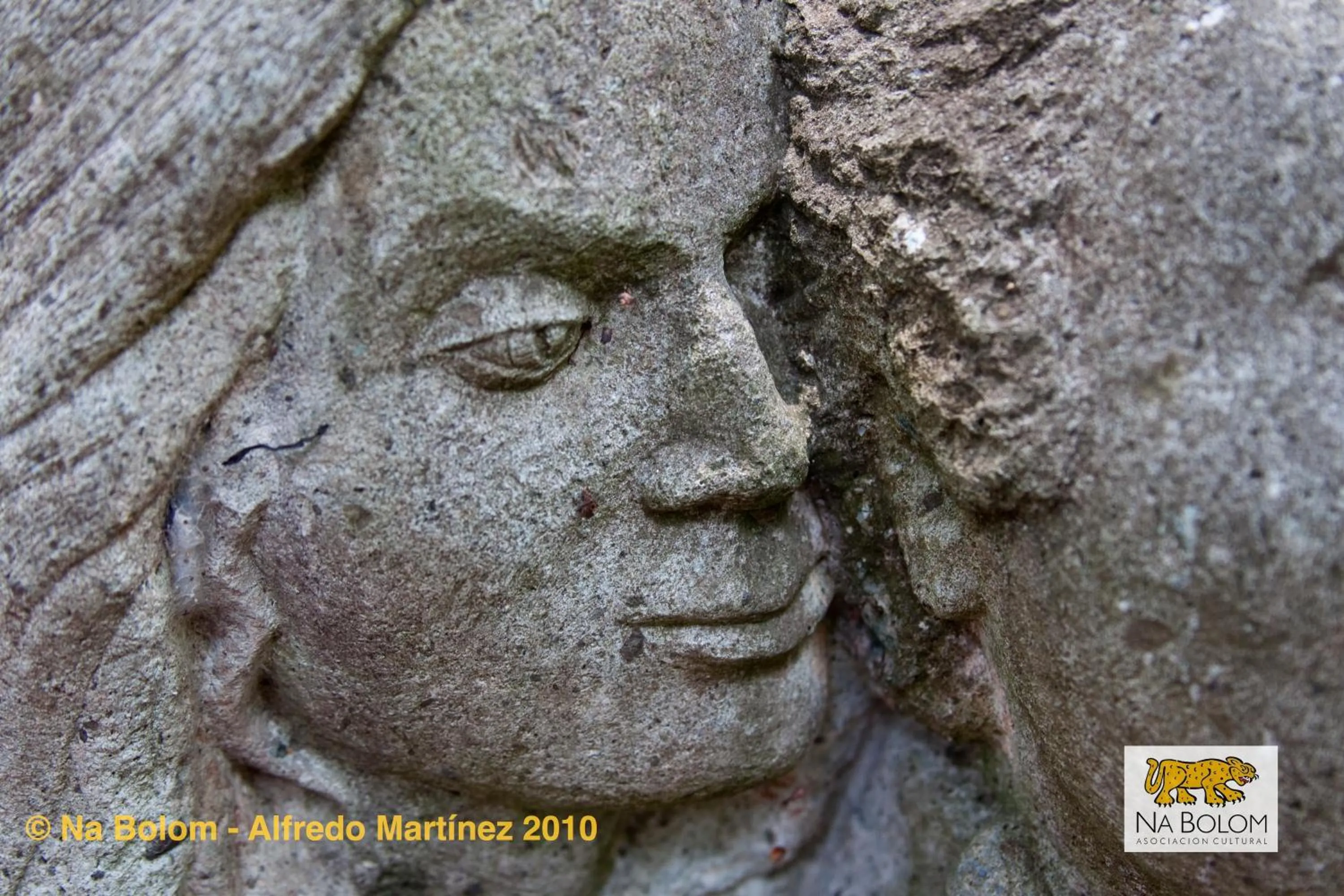 Activities in Hotel Na Bolom