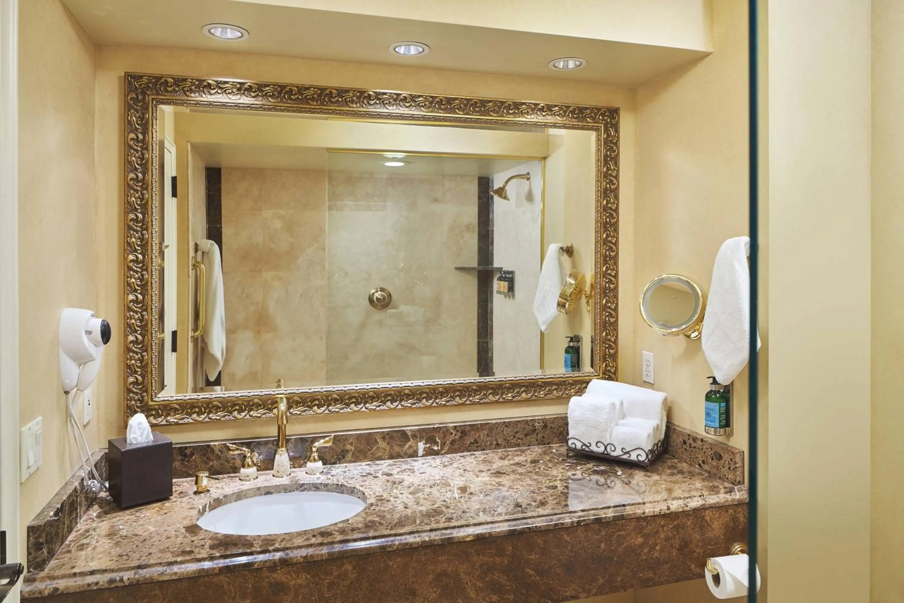 Bathroom in Davenport Hotel, Autograph Collection