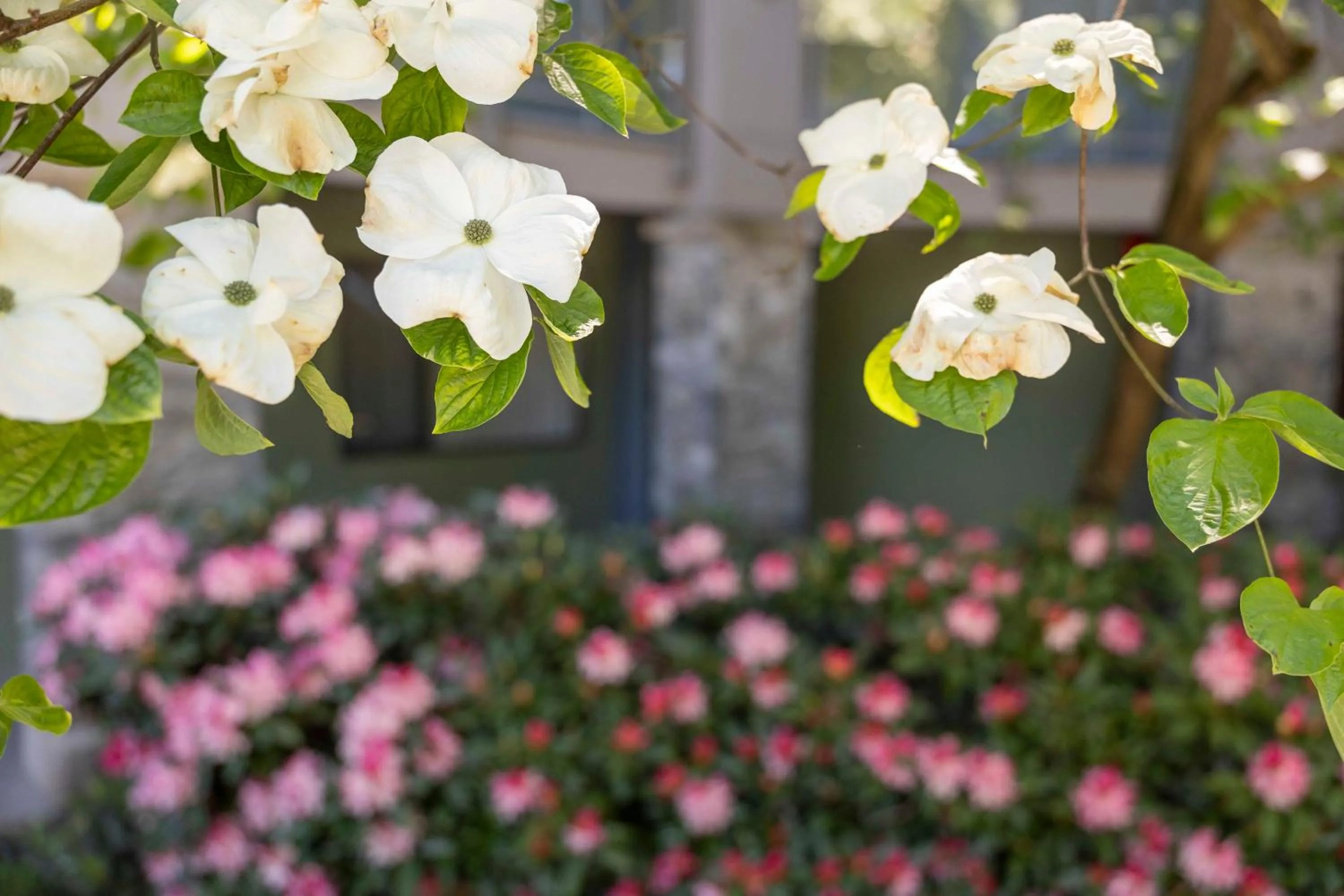 Decorative detail in Accent Inns Burnaby