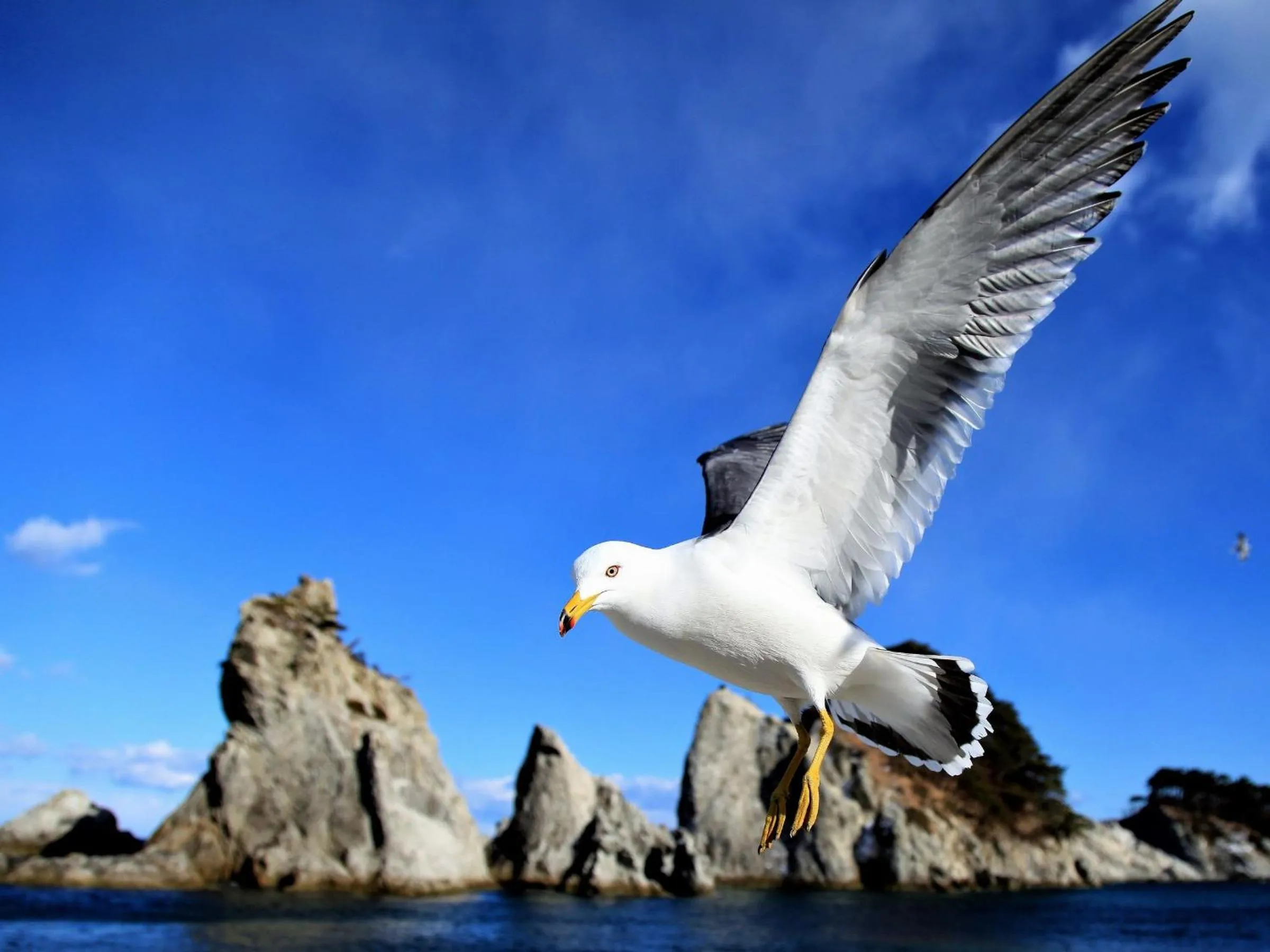 Nearby landmark in Hotel Omiya