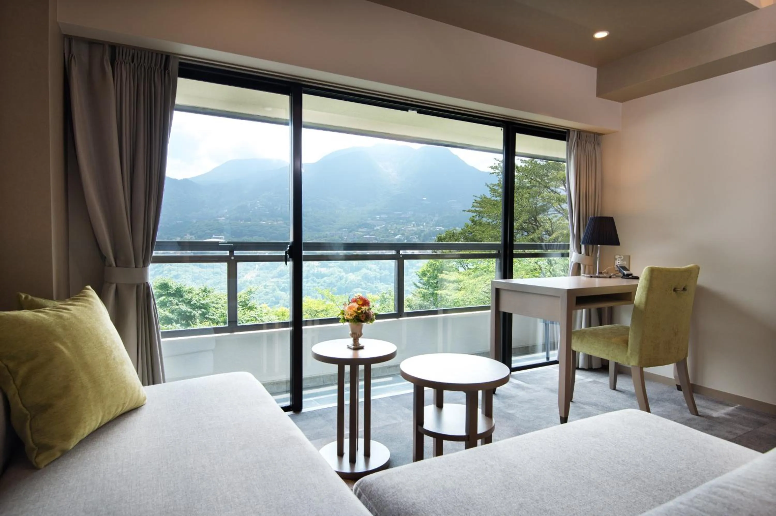 View (from property/room) in Hakone Elecasa Hotel and Spa