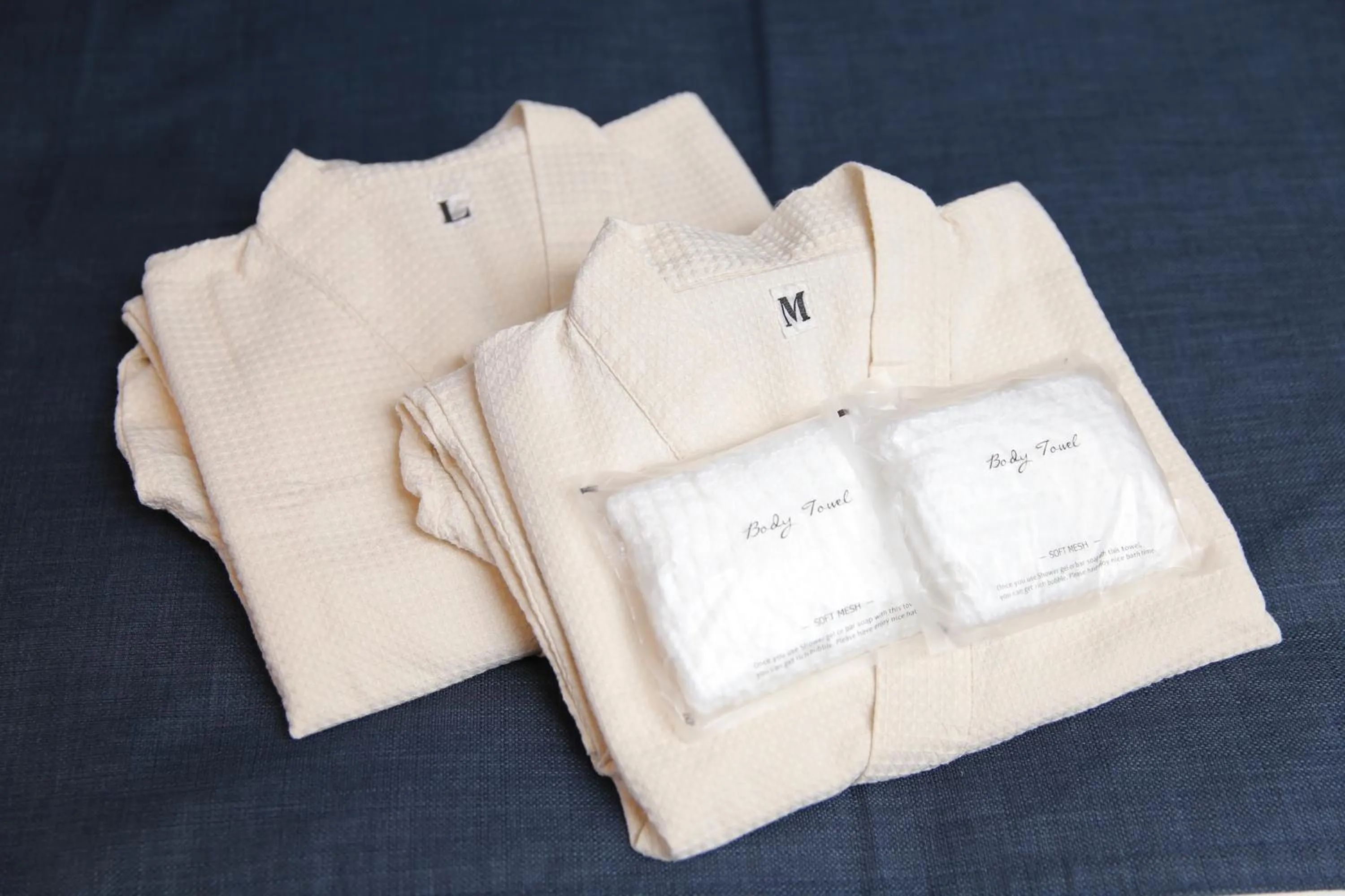 Photo of the whole room in Hakone Elecasa Hotel and Spa