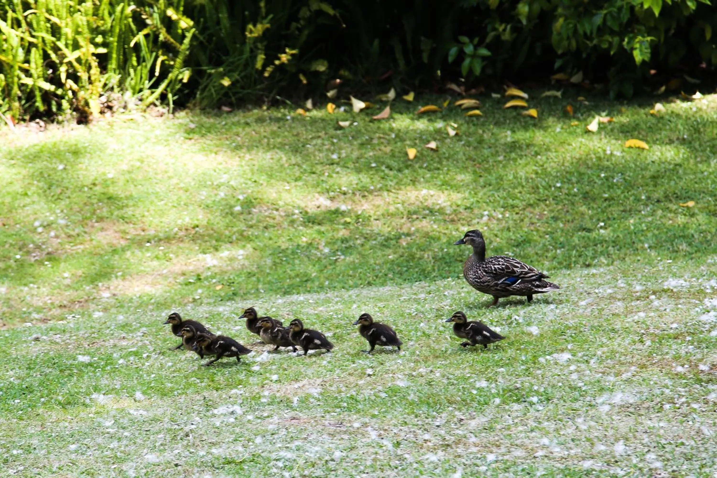Orere Point TOP 10 Holiday Park