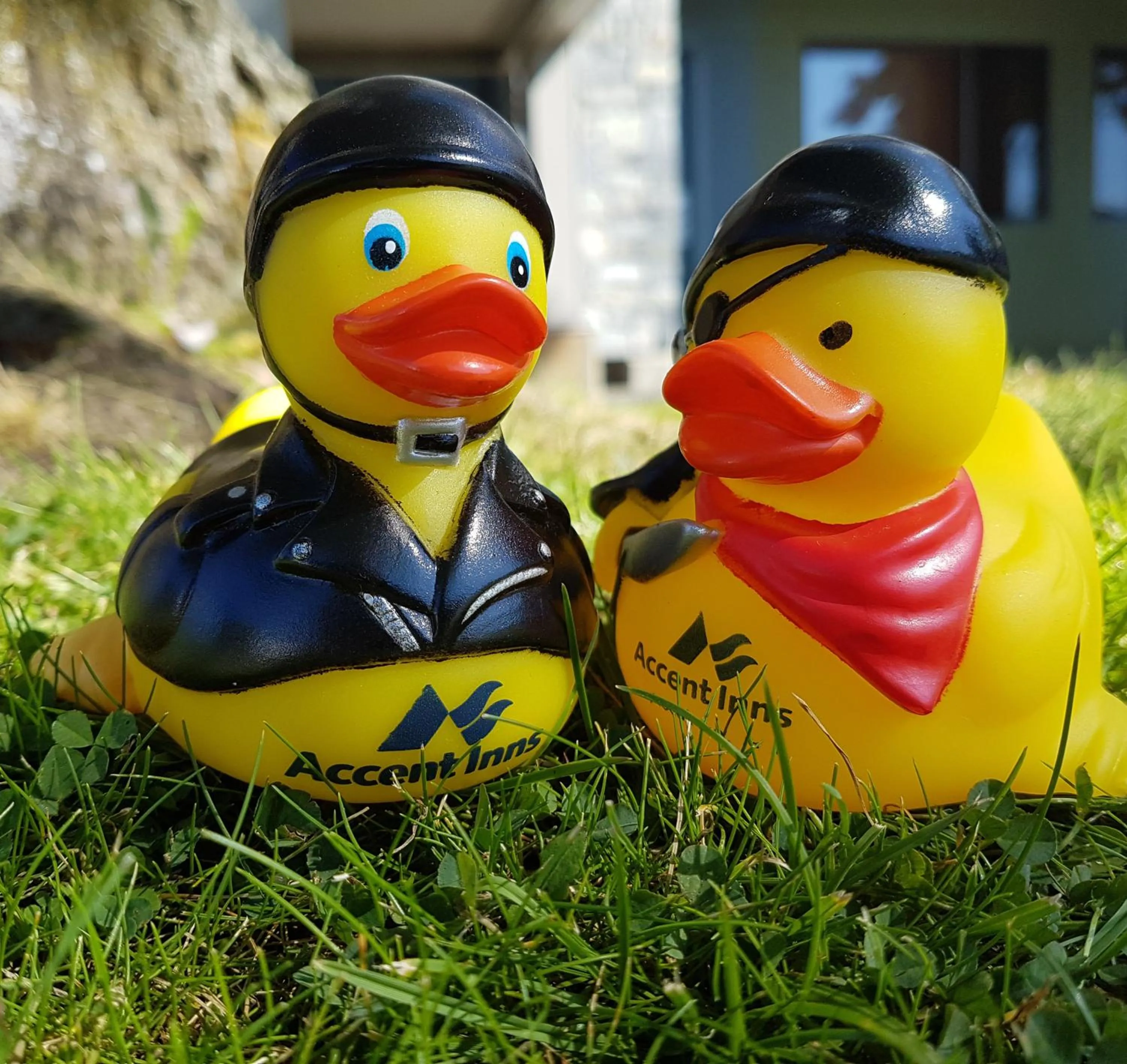 Other in Accent Inns Kelowna