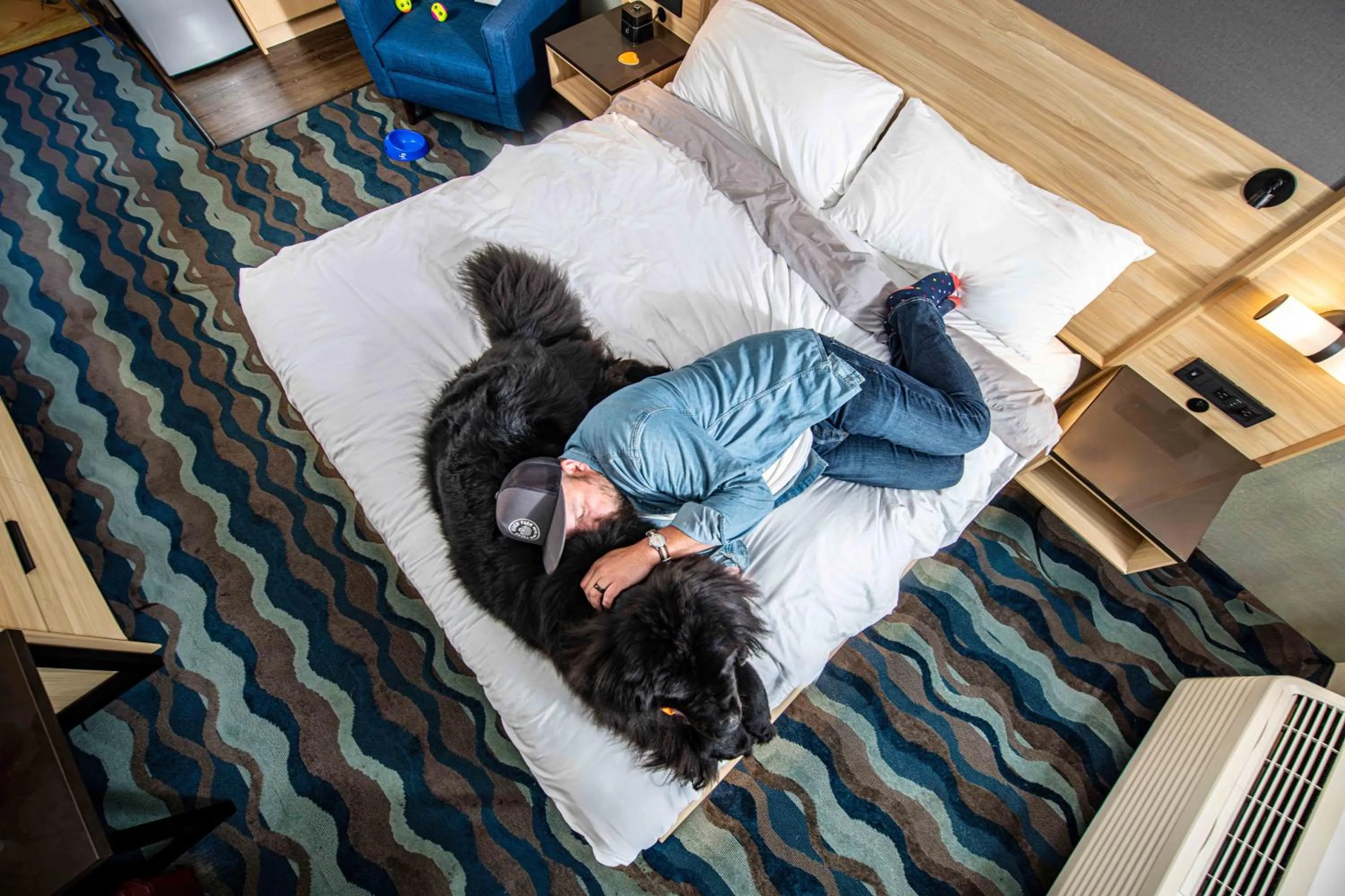 Bed in Accent Inns Kelowna