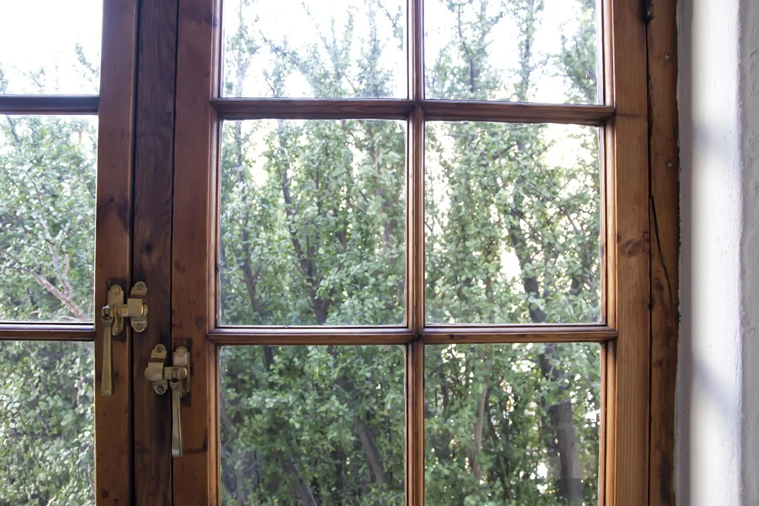 Garden view in Kogman & Keisie Guest Farm