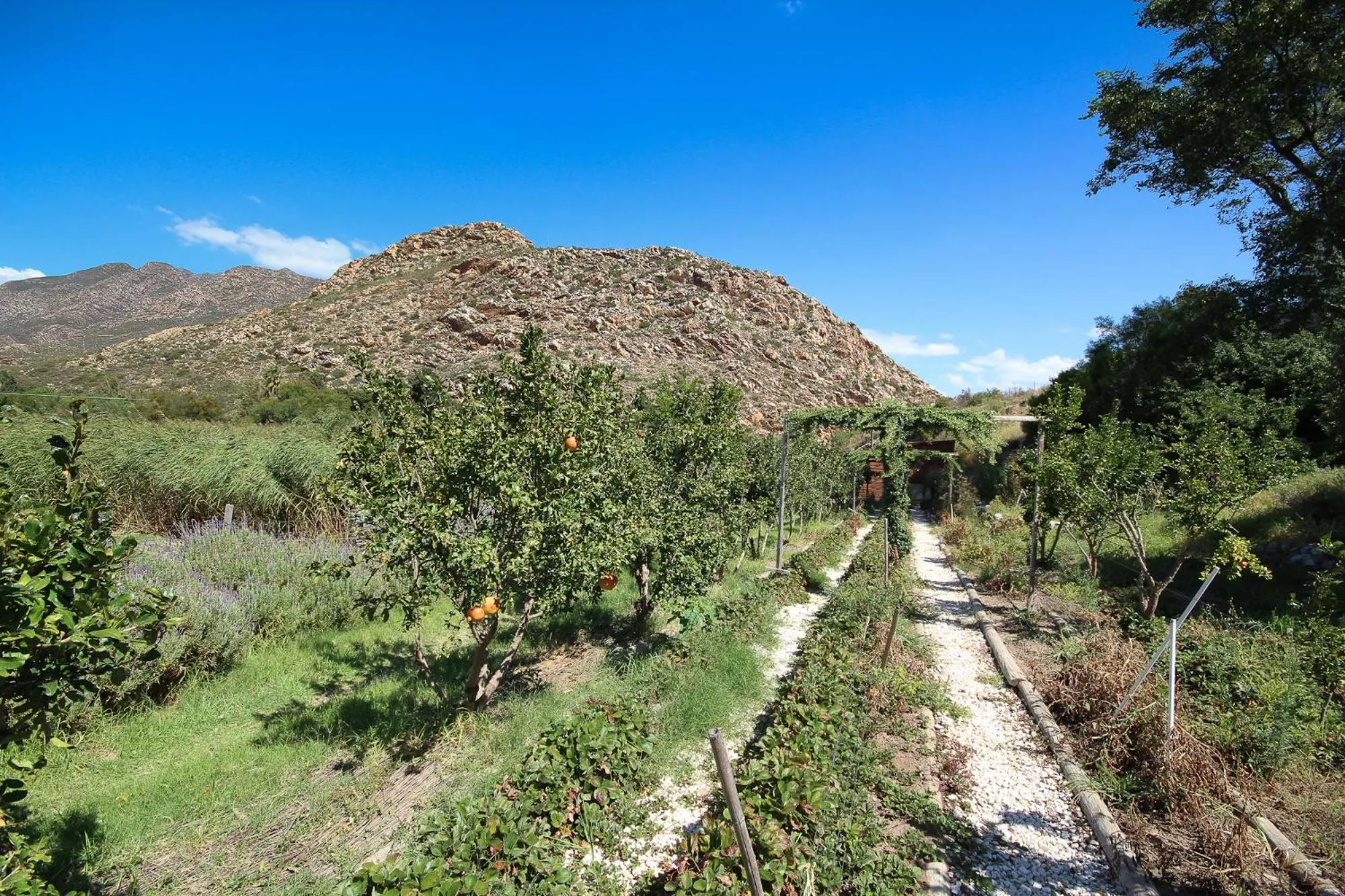 Garden in Kogman & Keisie Guest Farm