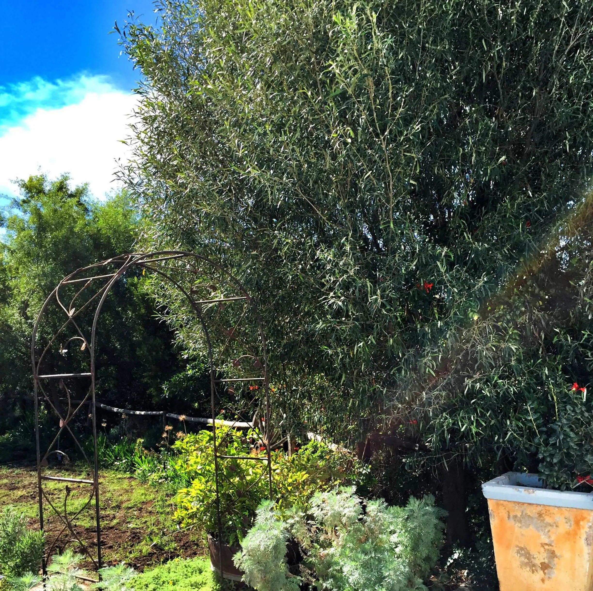 Garden view in Kogman & Keisie Guest Farm