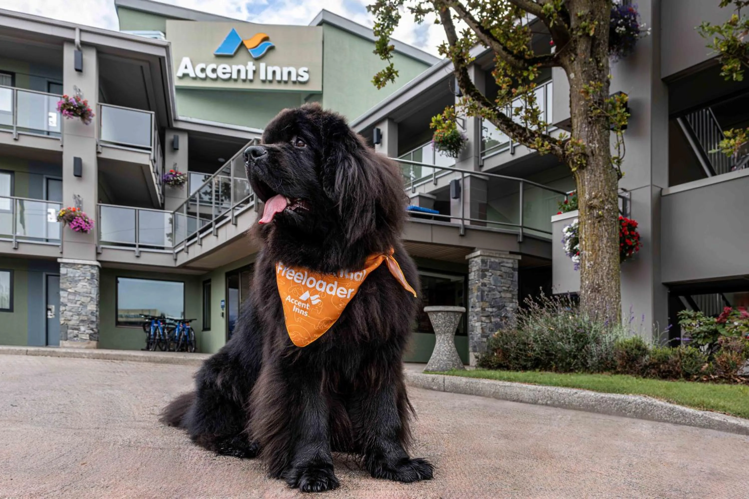 Property building in Accent Inns Kamloops