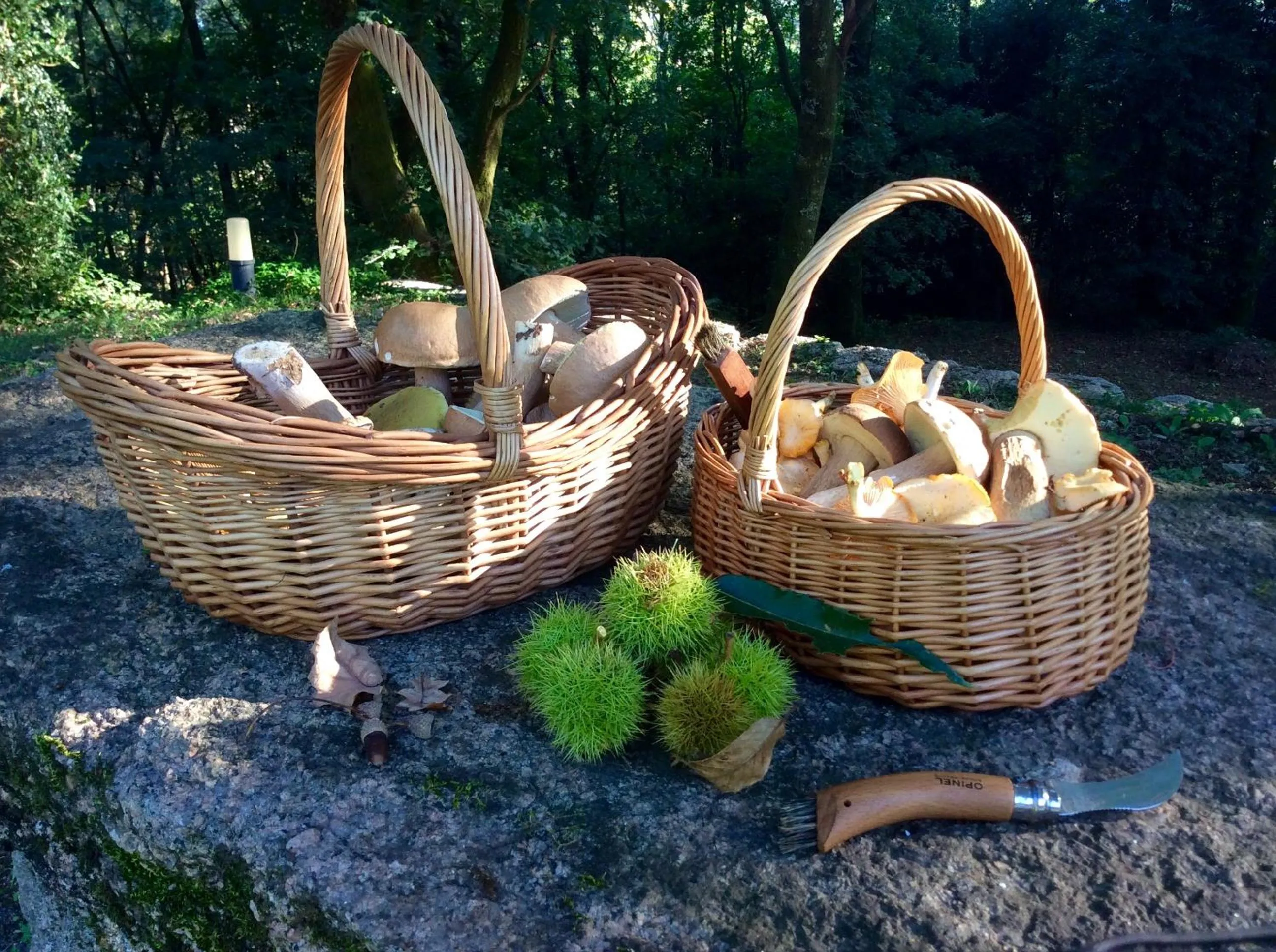 Autumn in Casa Da Urcela