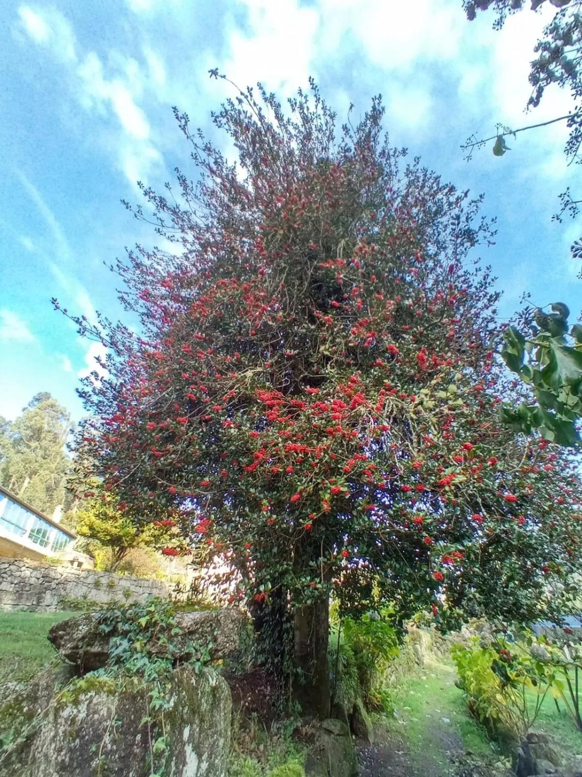 Natural landscape in Casa Da Urcela