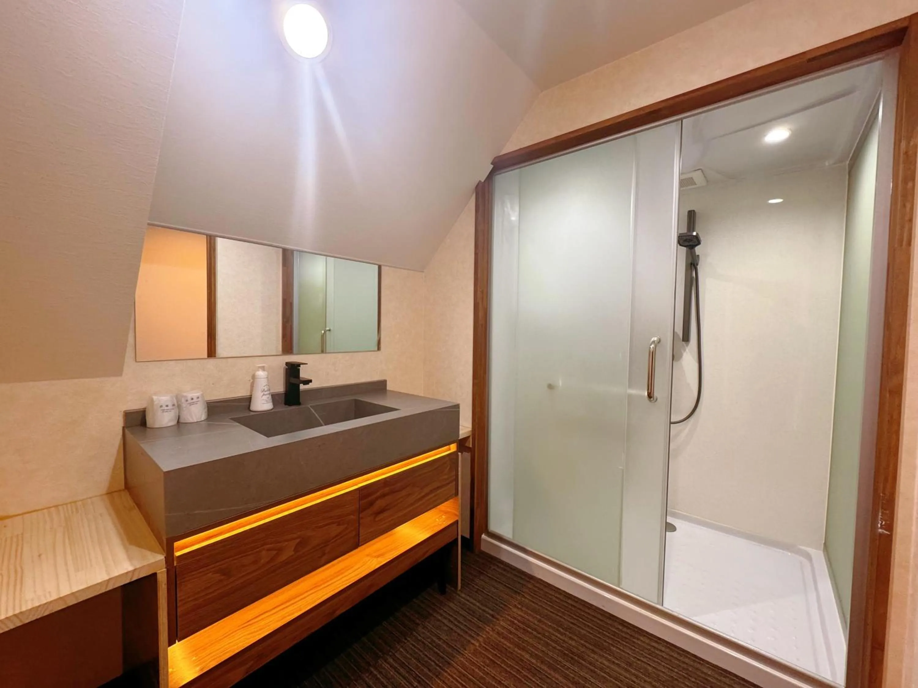 Shower in Hakuba Sun Valley Hotel