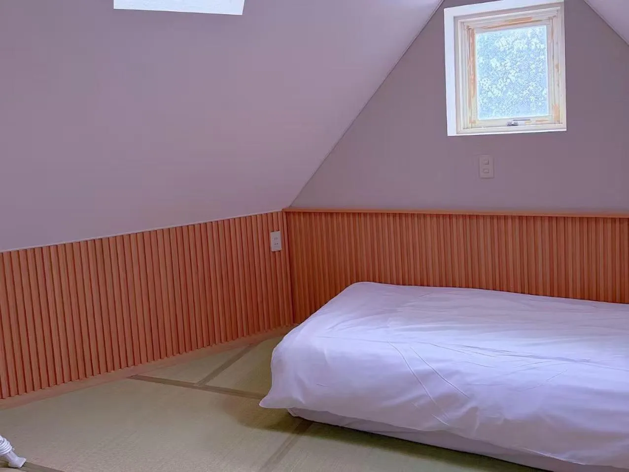 Photo of the whole room, Bed in Hakuba Sun Valley Hotel