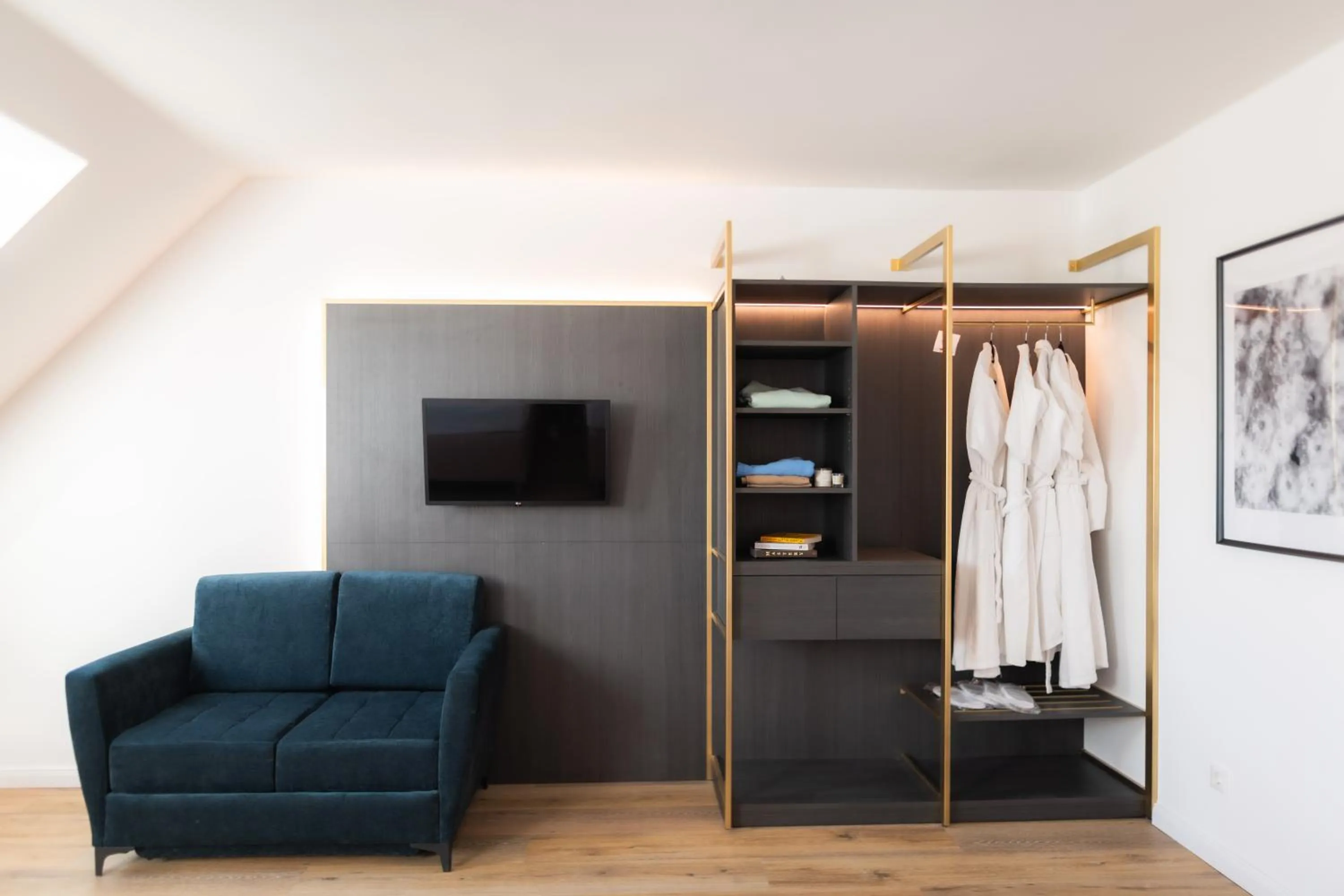 TV and multimedia in Florum Hotel