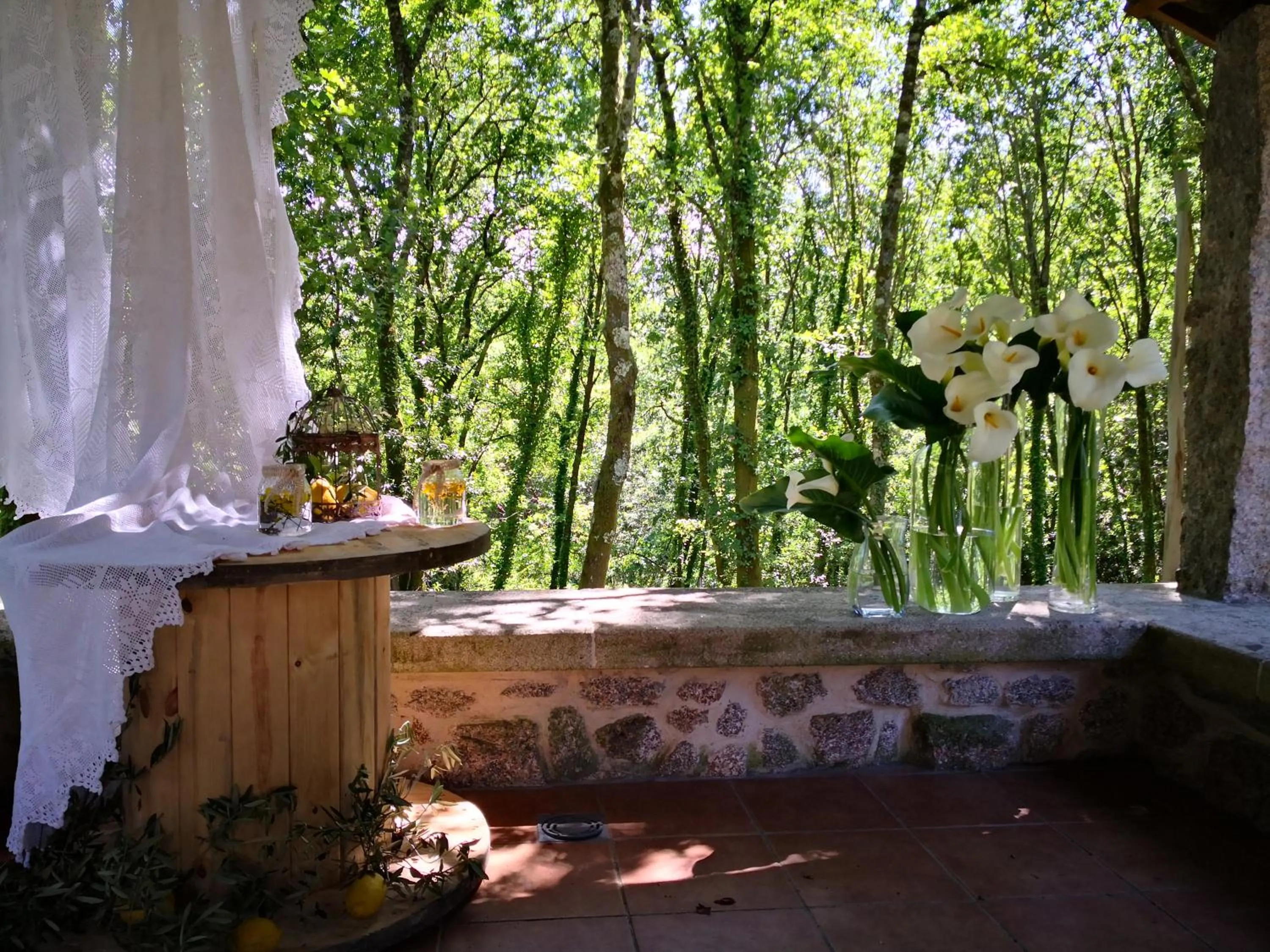 Natural landscape in Casa Do Cribeiro