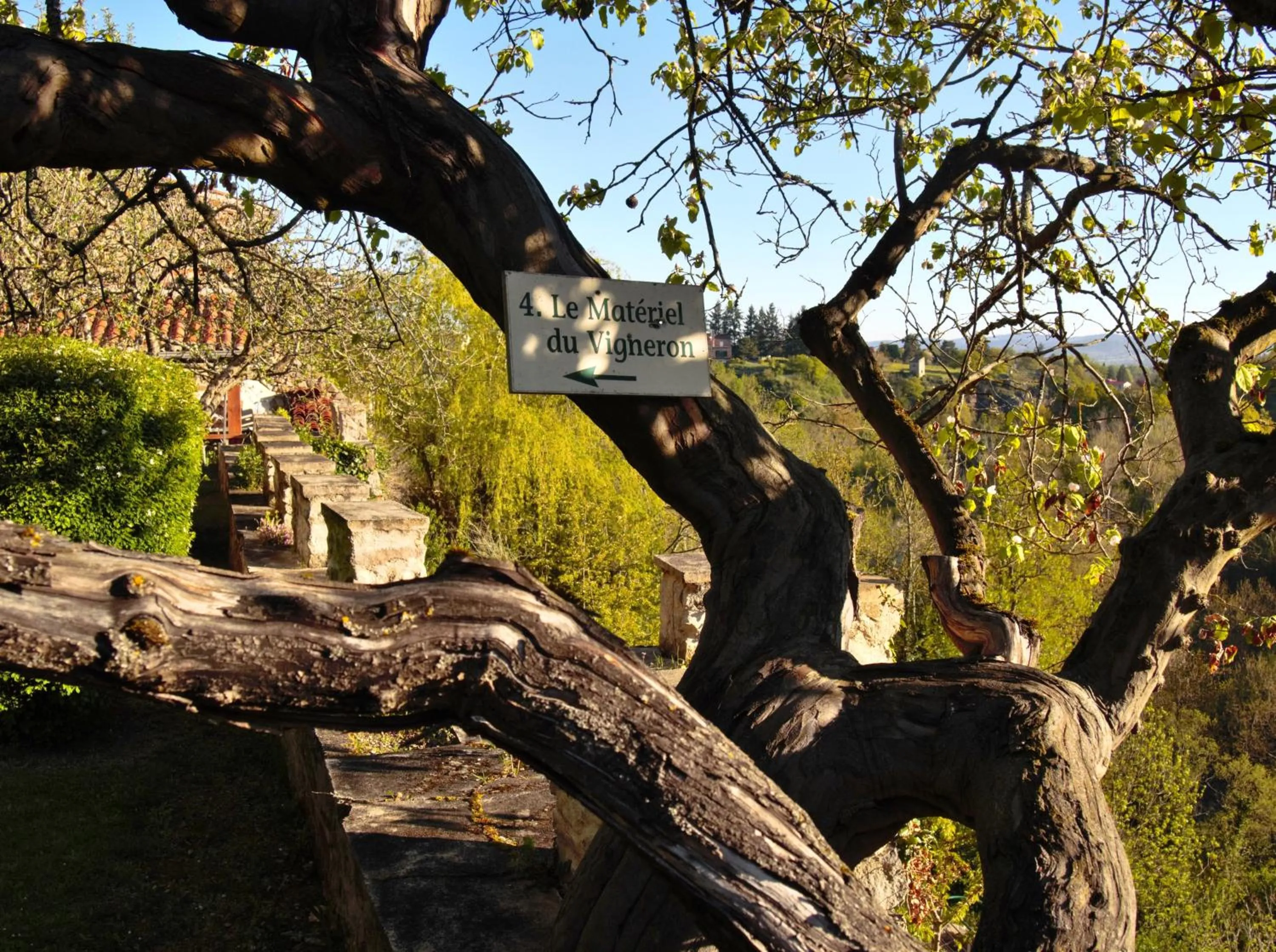 Garden in Ermitage Saint Vincent B&B