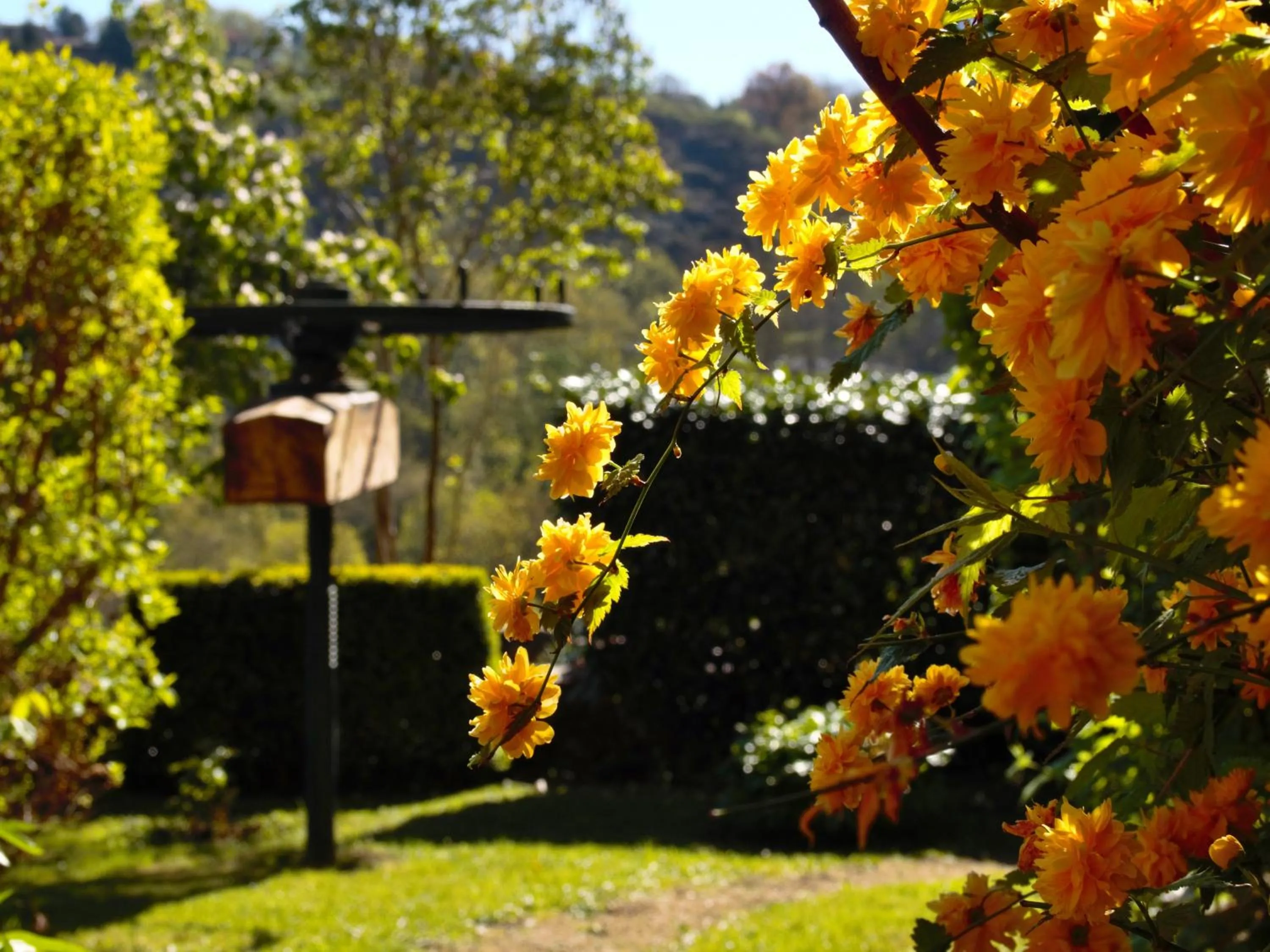 Garden in Ermitage Saint Vincent B&B