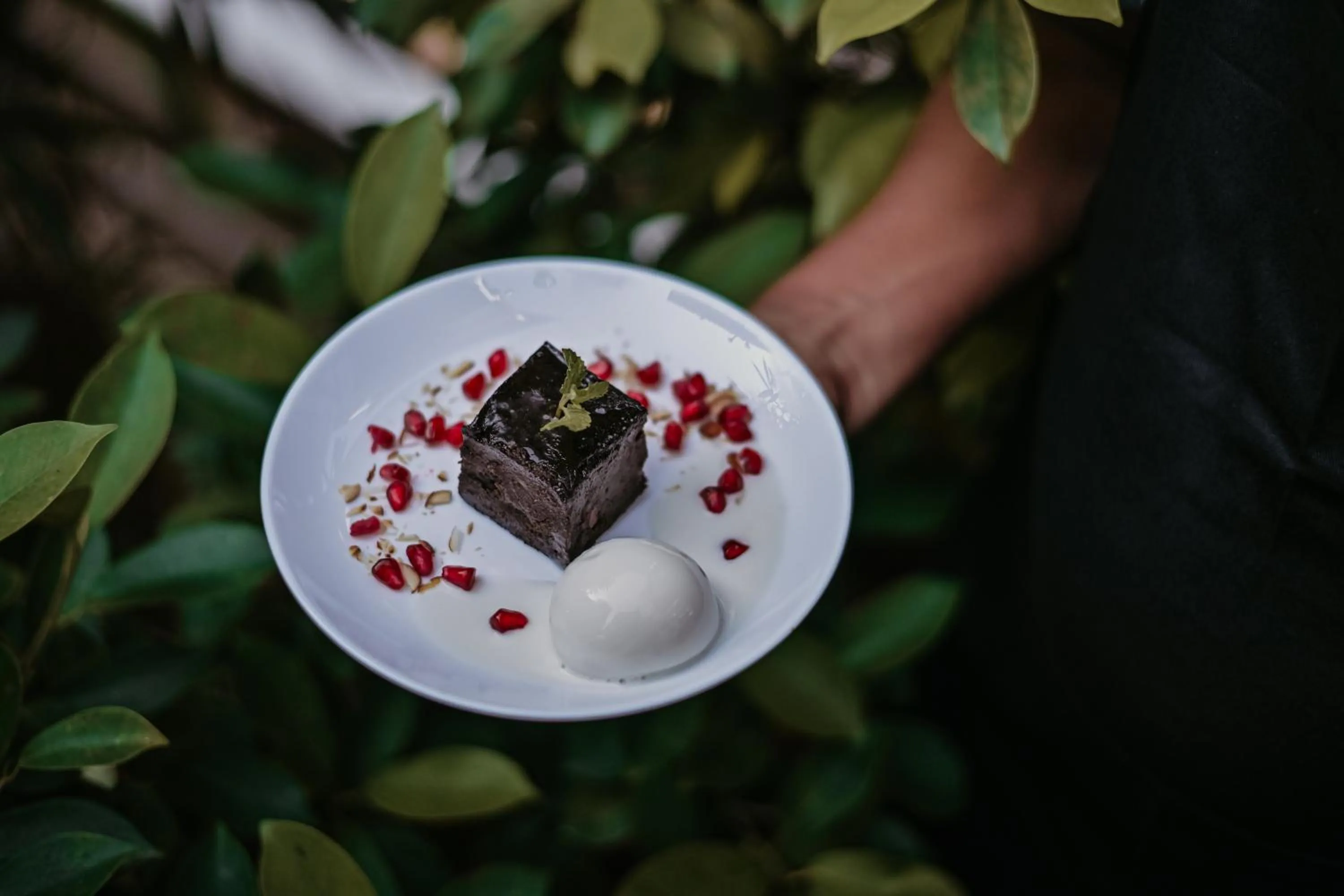 Restaurant/places to eat in The Regalia Resort