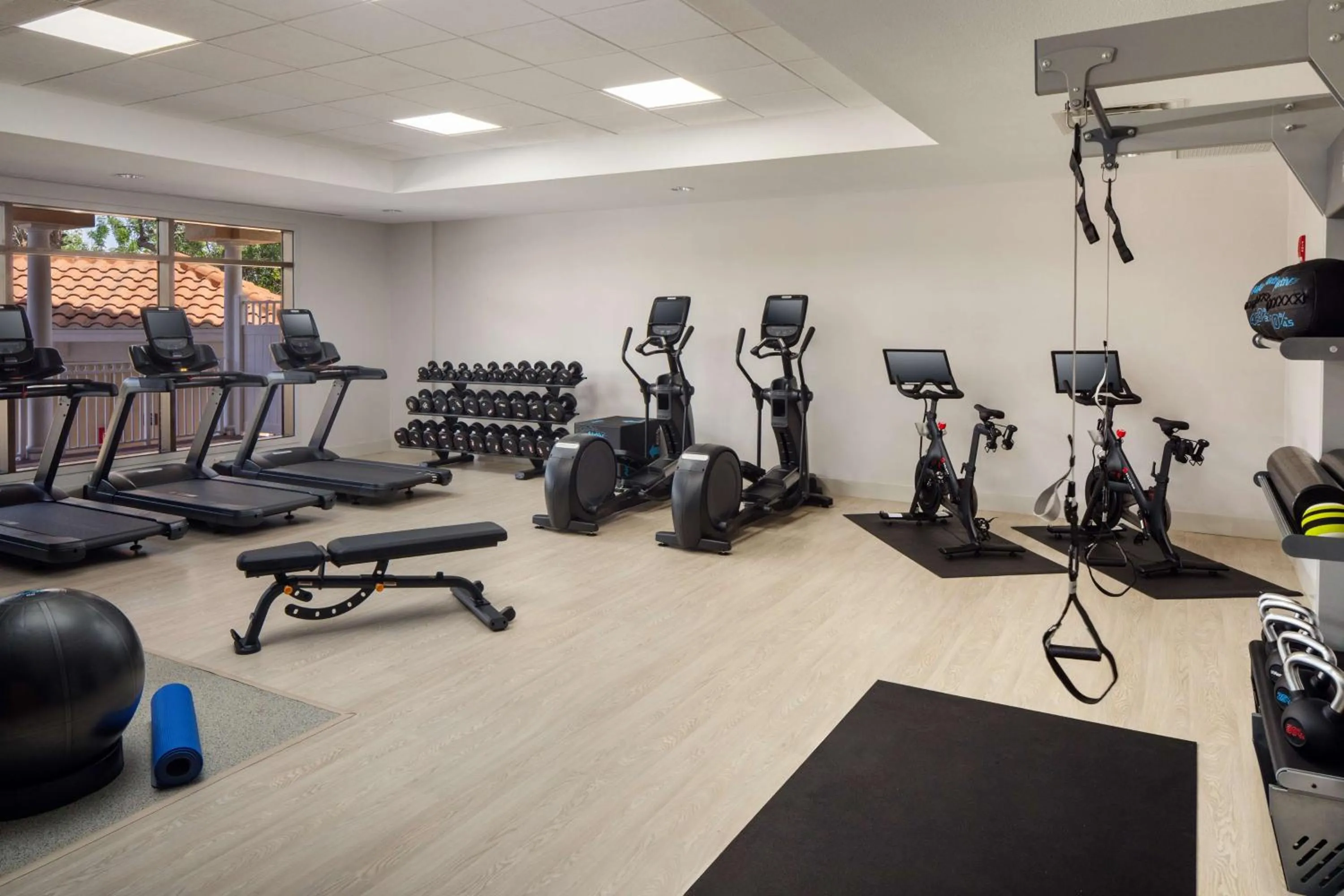 Fitness centre/facilities in Hilton St. Petersburg Carillon Park