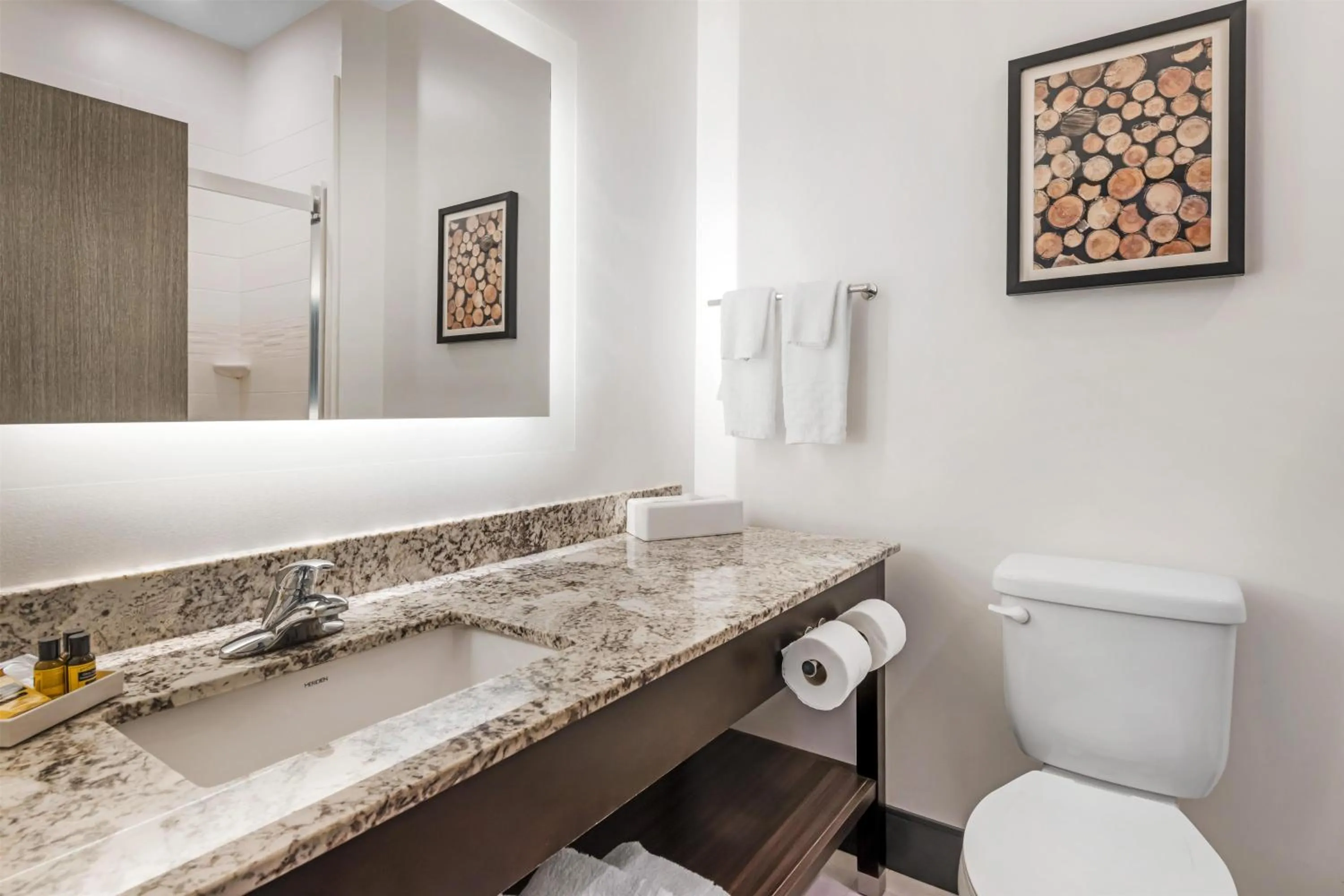 Bathroom in Best Western Plus Isanti