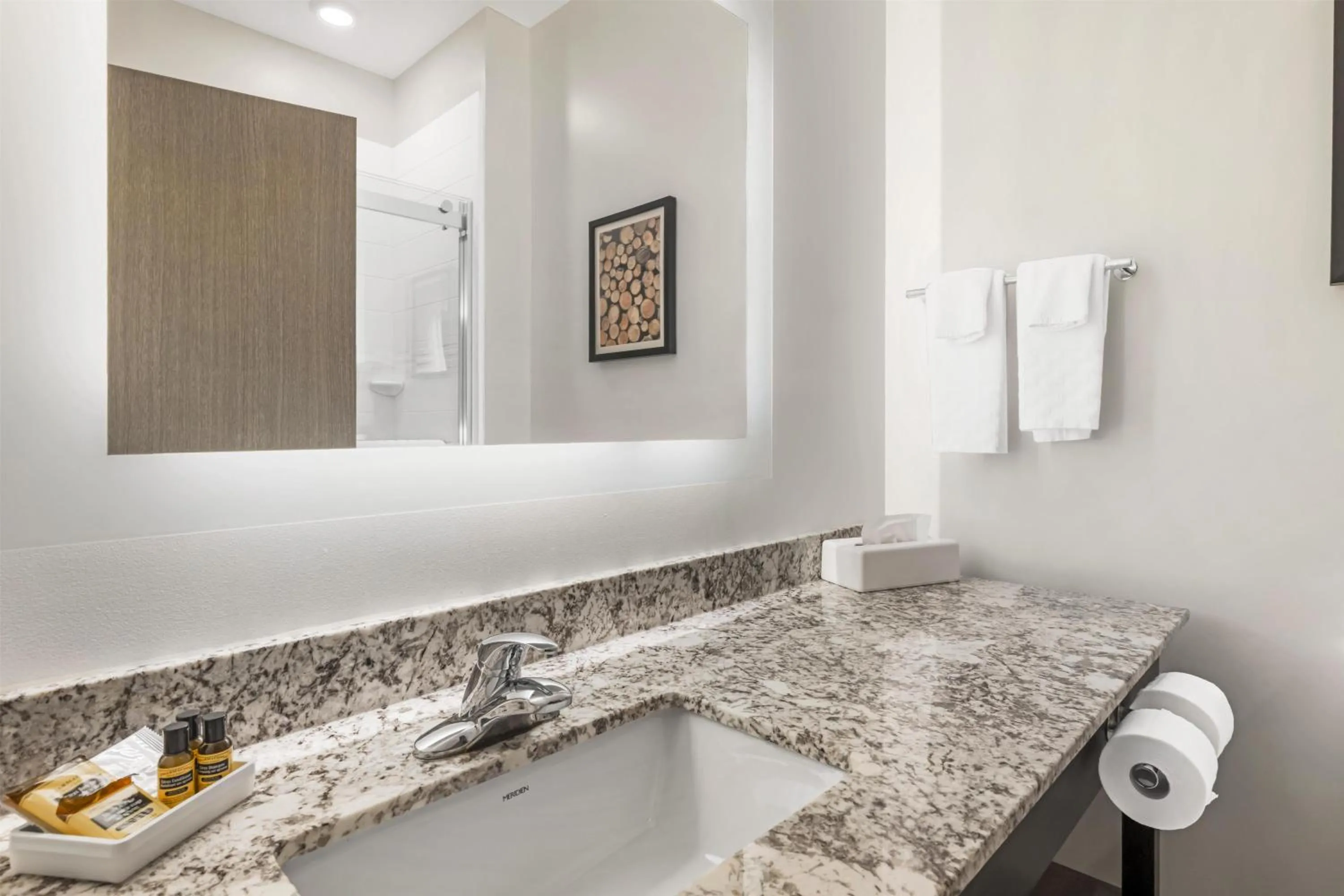 Bathroom in Best Western Plus Isanti