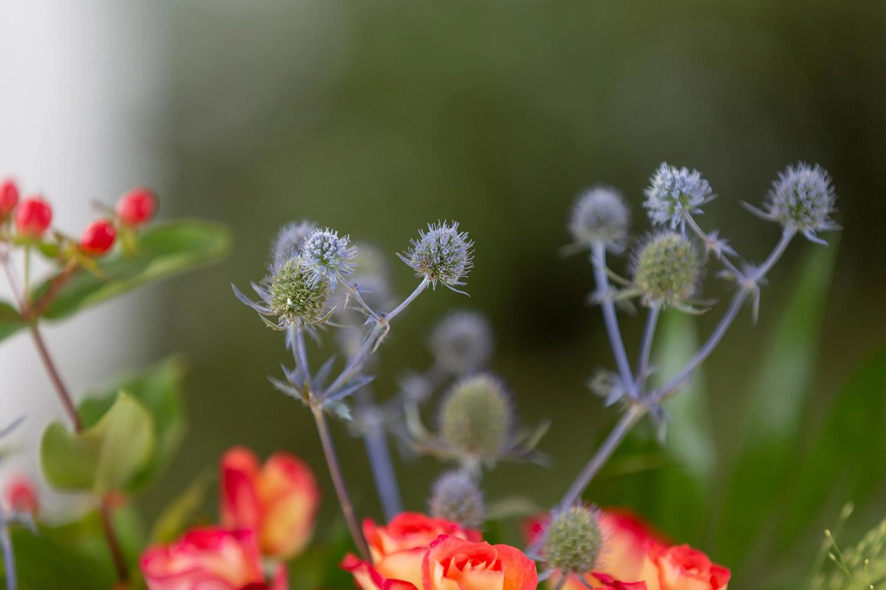 Garden in Hotel Silberdistel