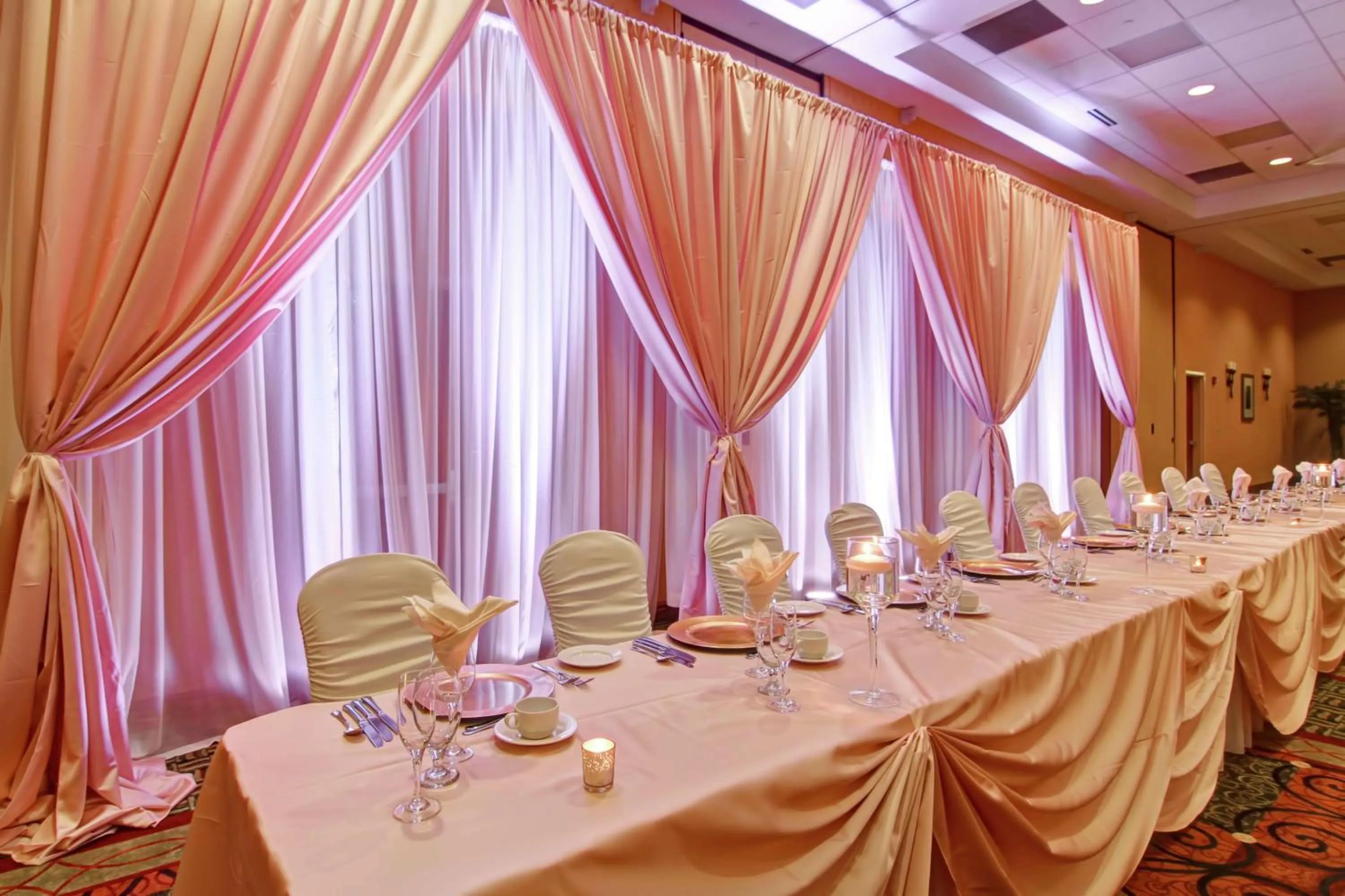 Meeting/conference room in Hilton Garden Inn Ottawa Airport