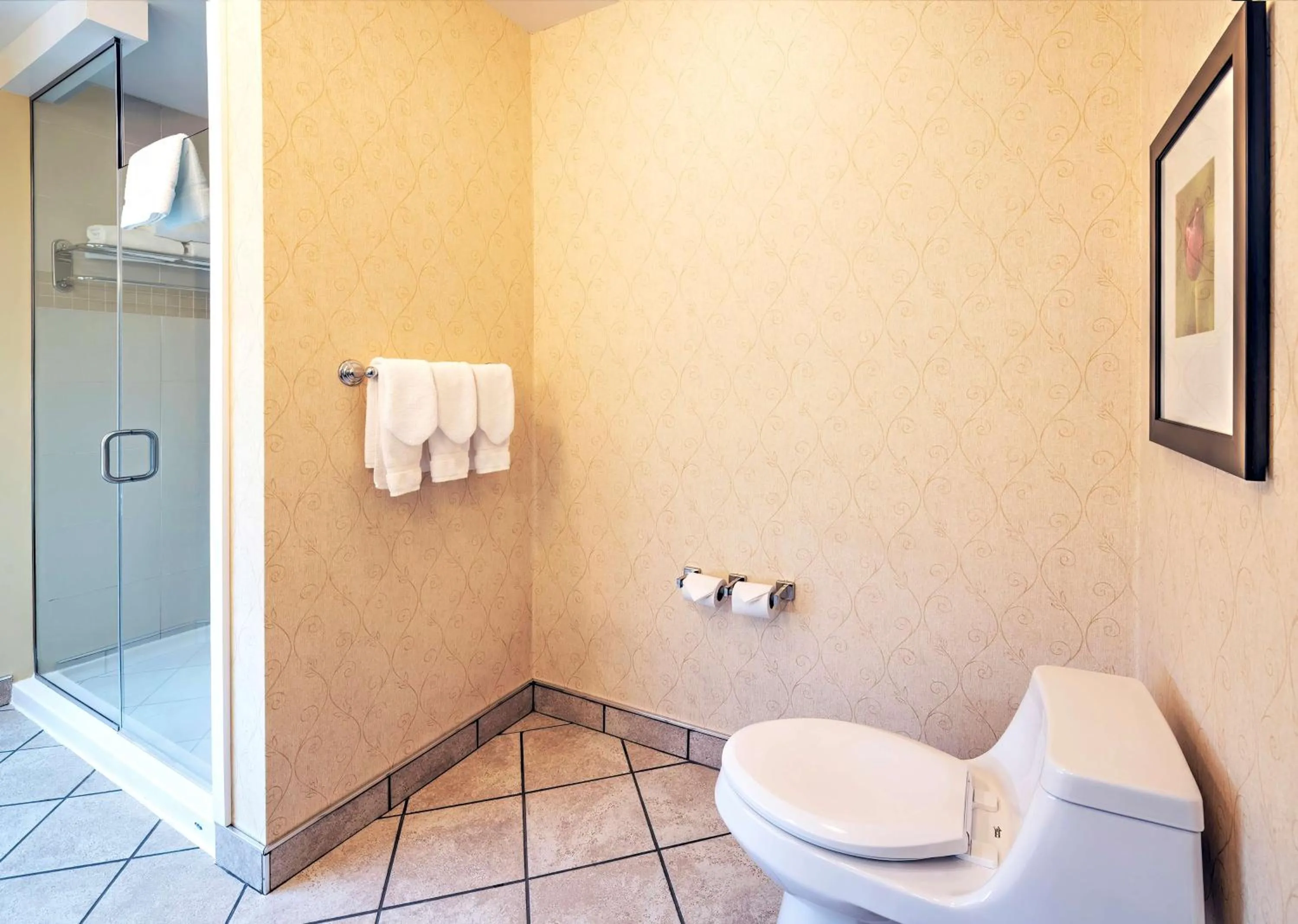 Bathroom in Hilton Garden Inn Ottawa Airport