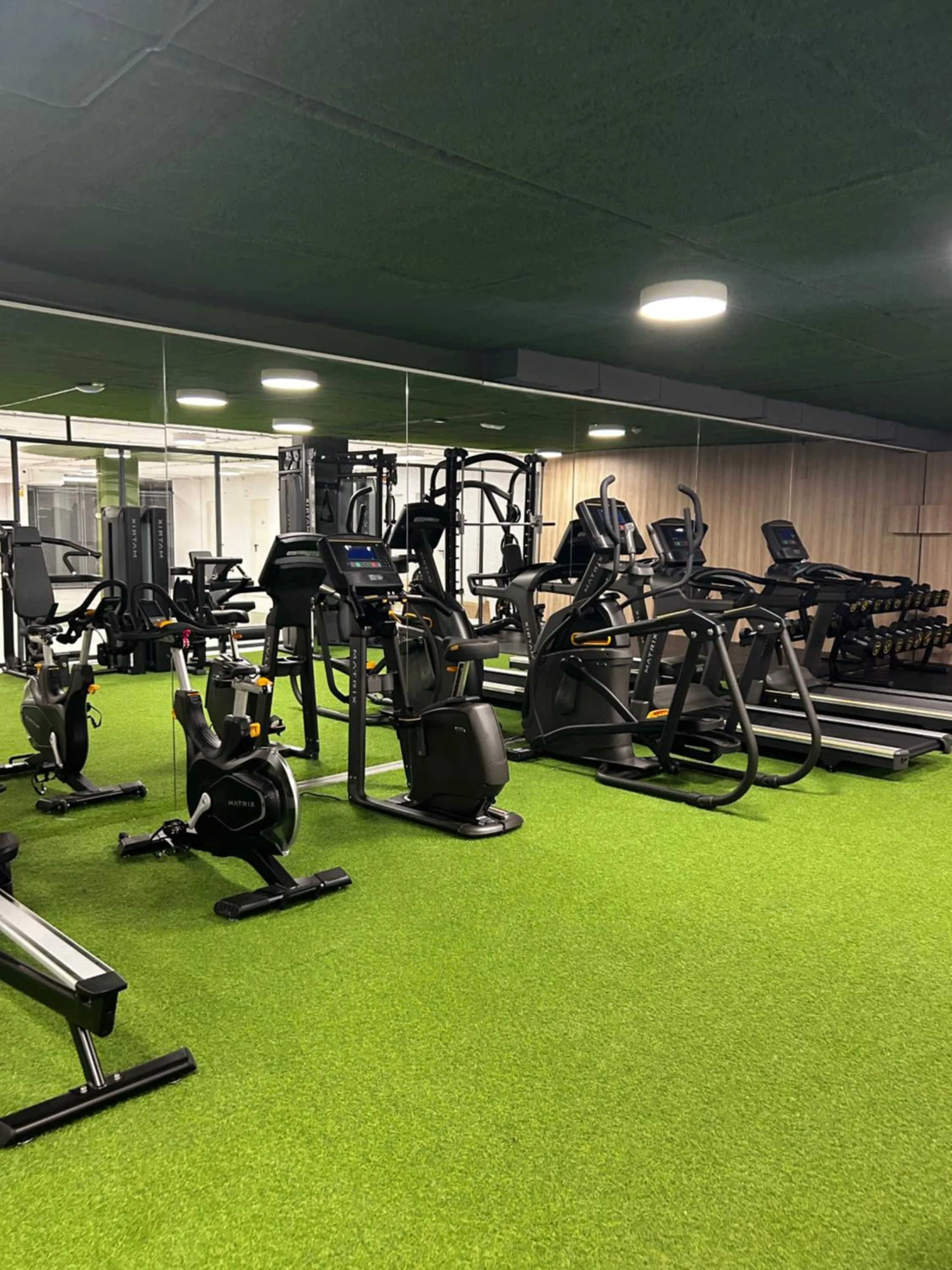 Fitness centre/facilities in Apartahotel & Spa Jacetania