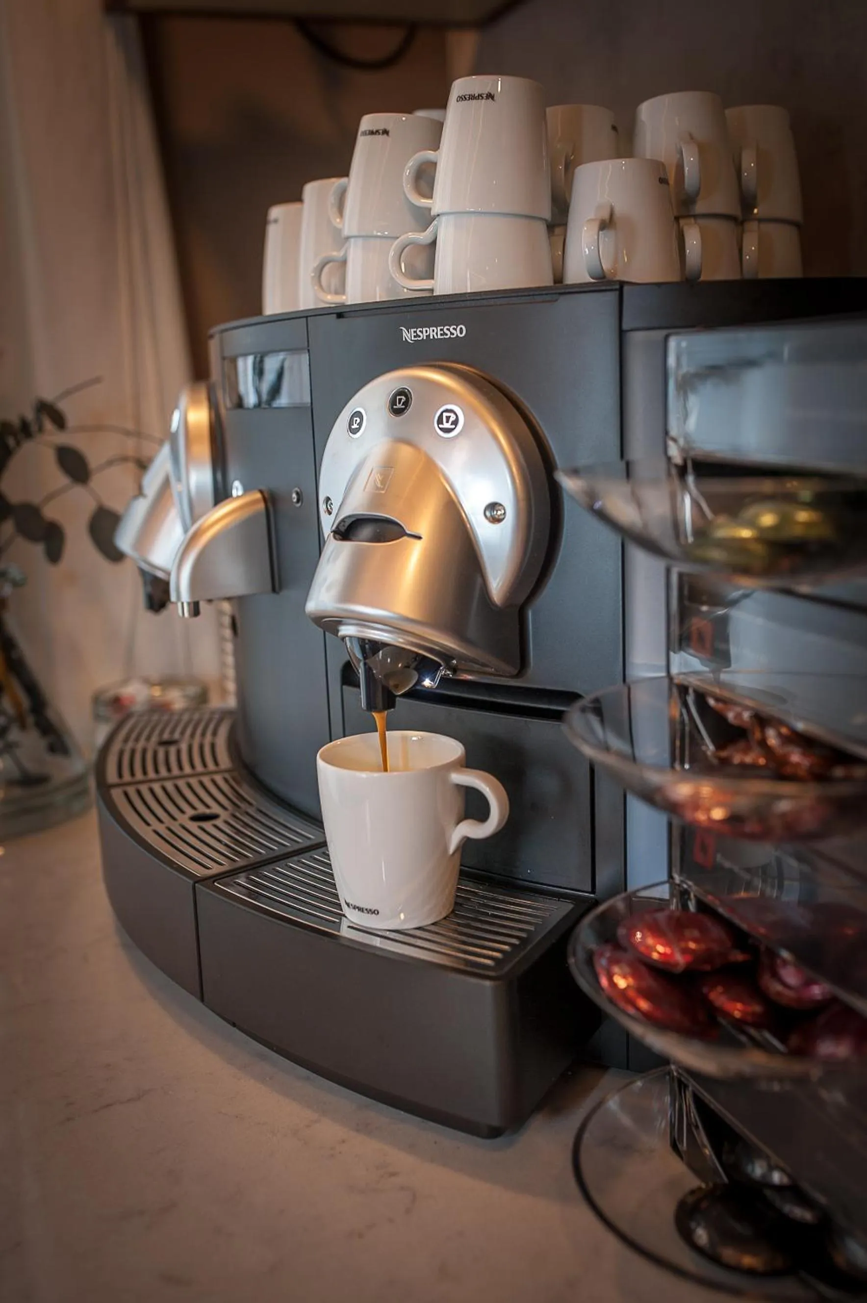 Coffee/tea facilities in Apartahotel & Spa Jacetania