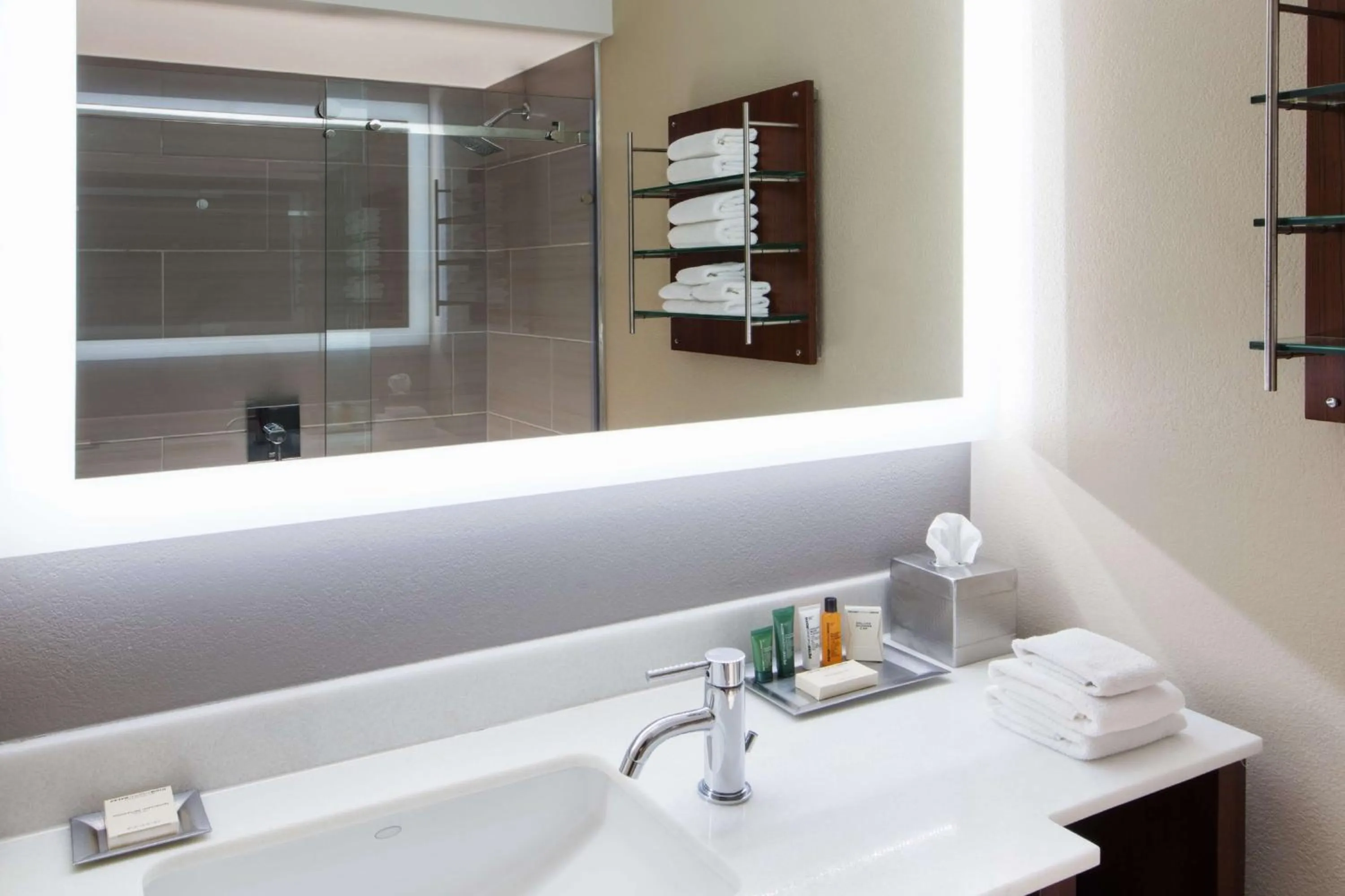 Bathroom in Hilton Clearwater Beach Resort & Spa