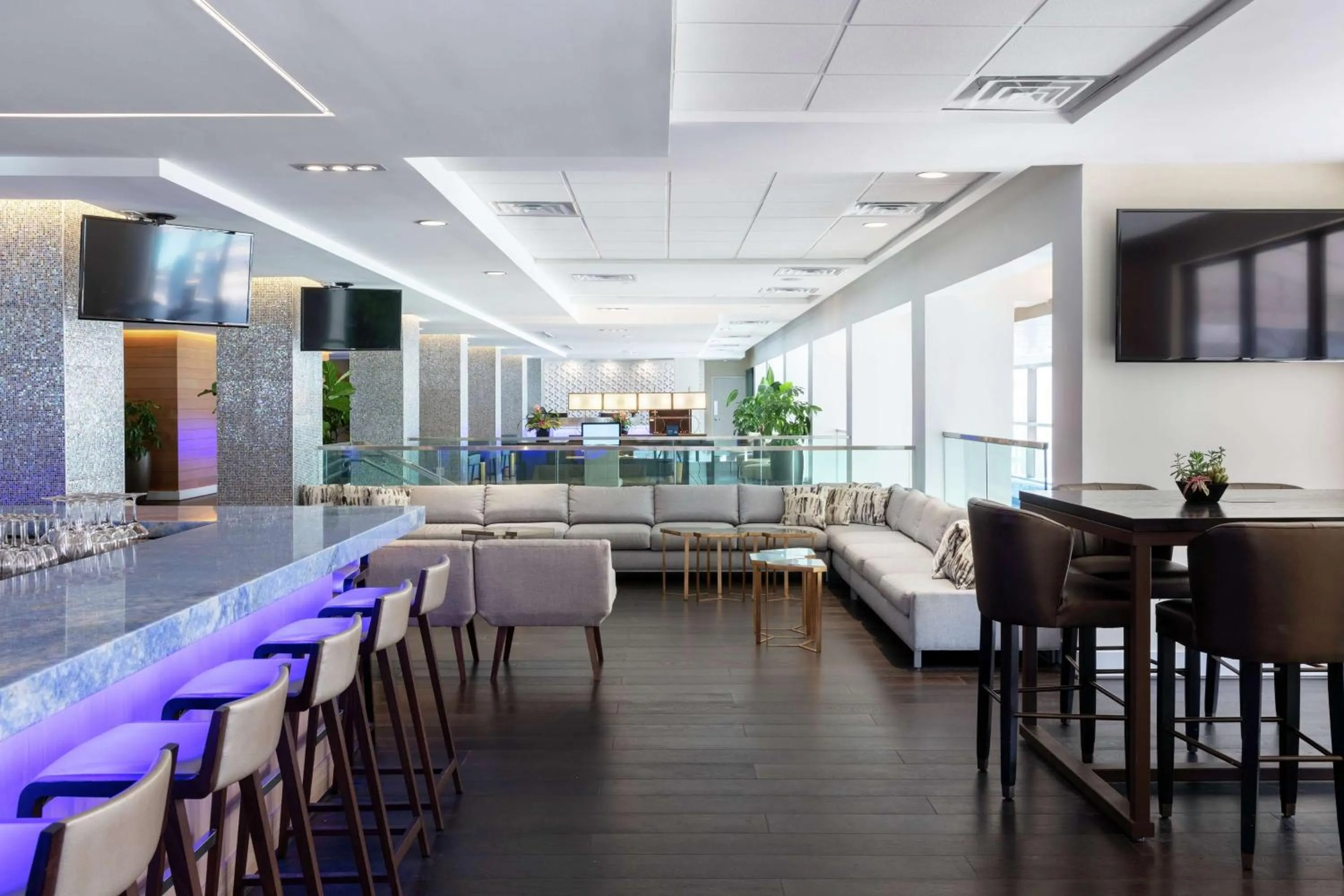 Lounge or bar in Hilton Clearwater Beach Resort & Spa