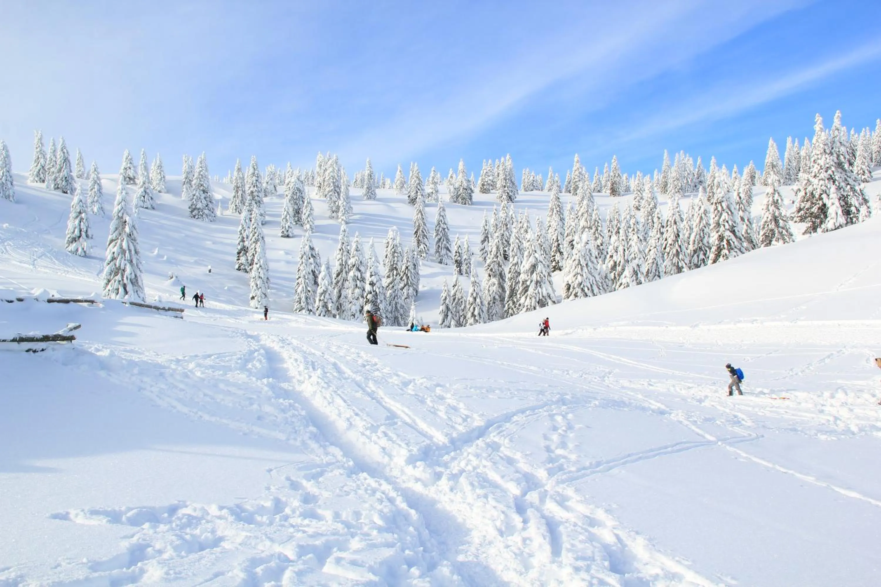 Nearby landmark in B&B Pod Skalo