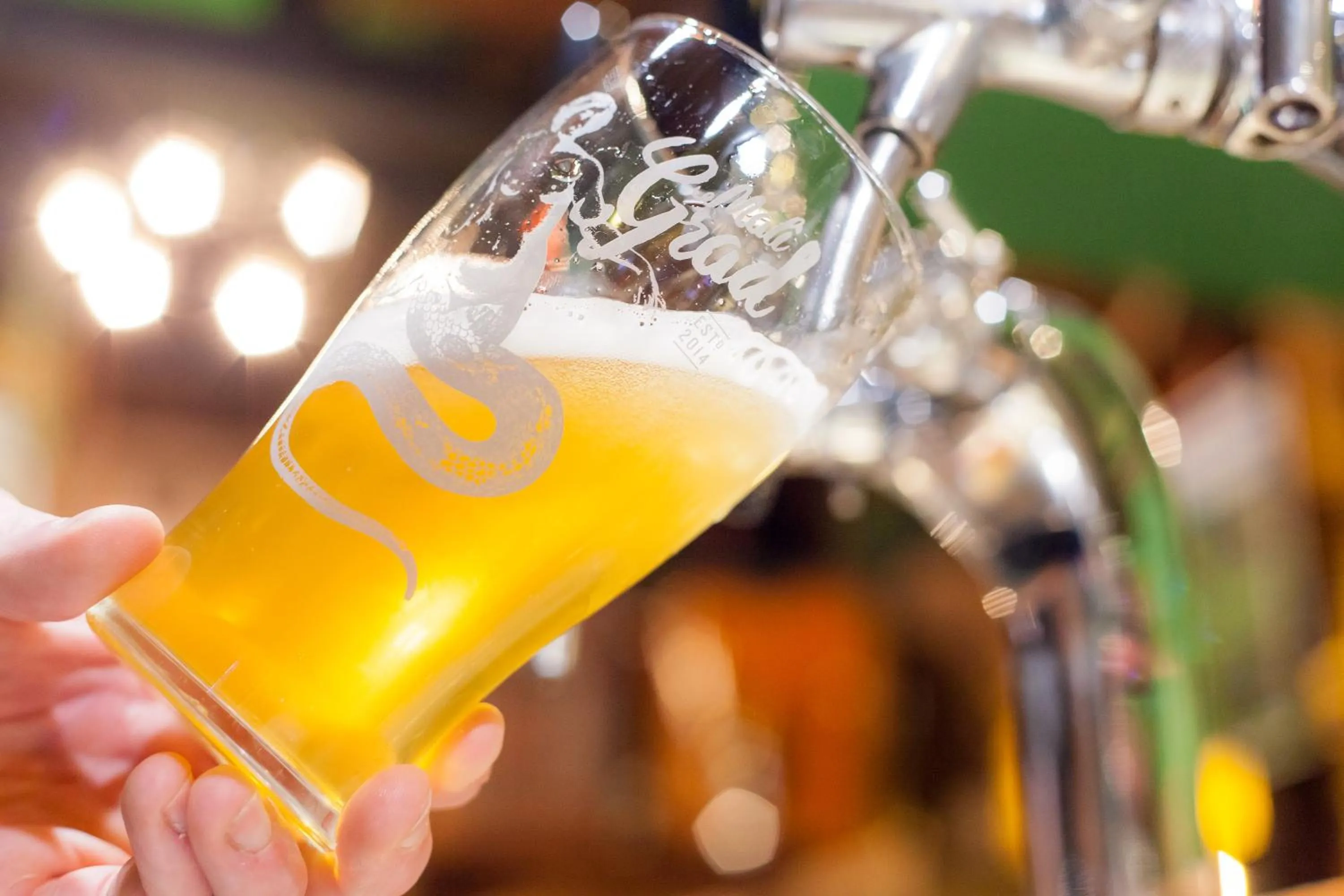 Lounge or bar in B&B Pod Skalo