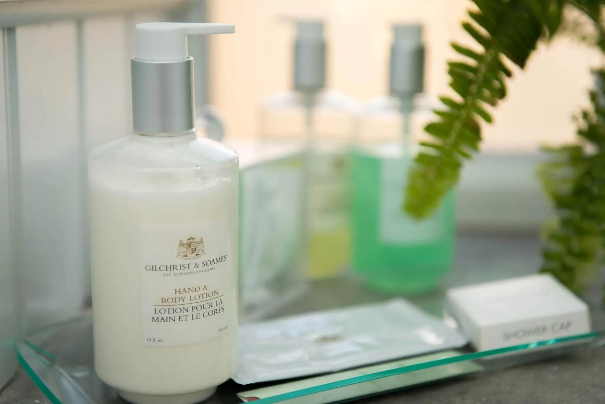 Shower in Bayflowers Guest House