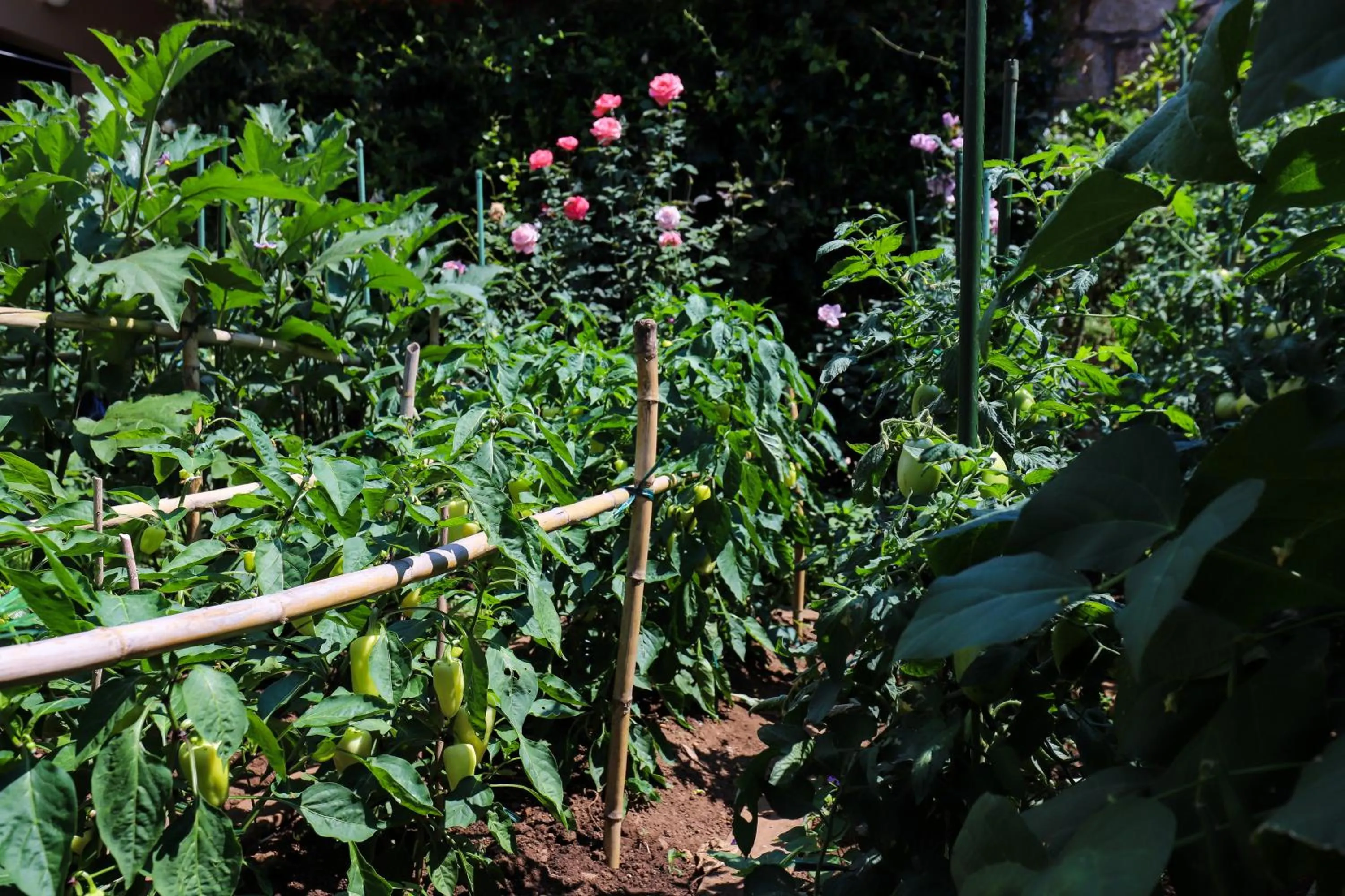 Garden in Apartment Garden M&M