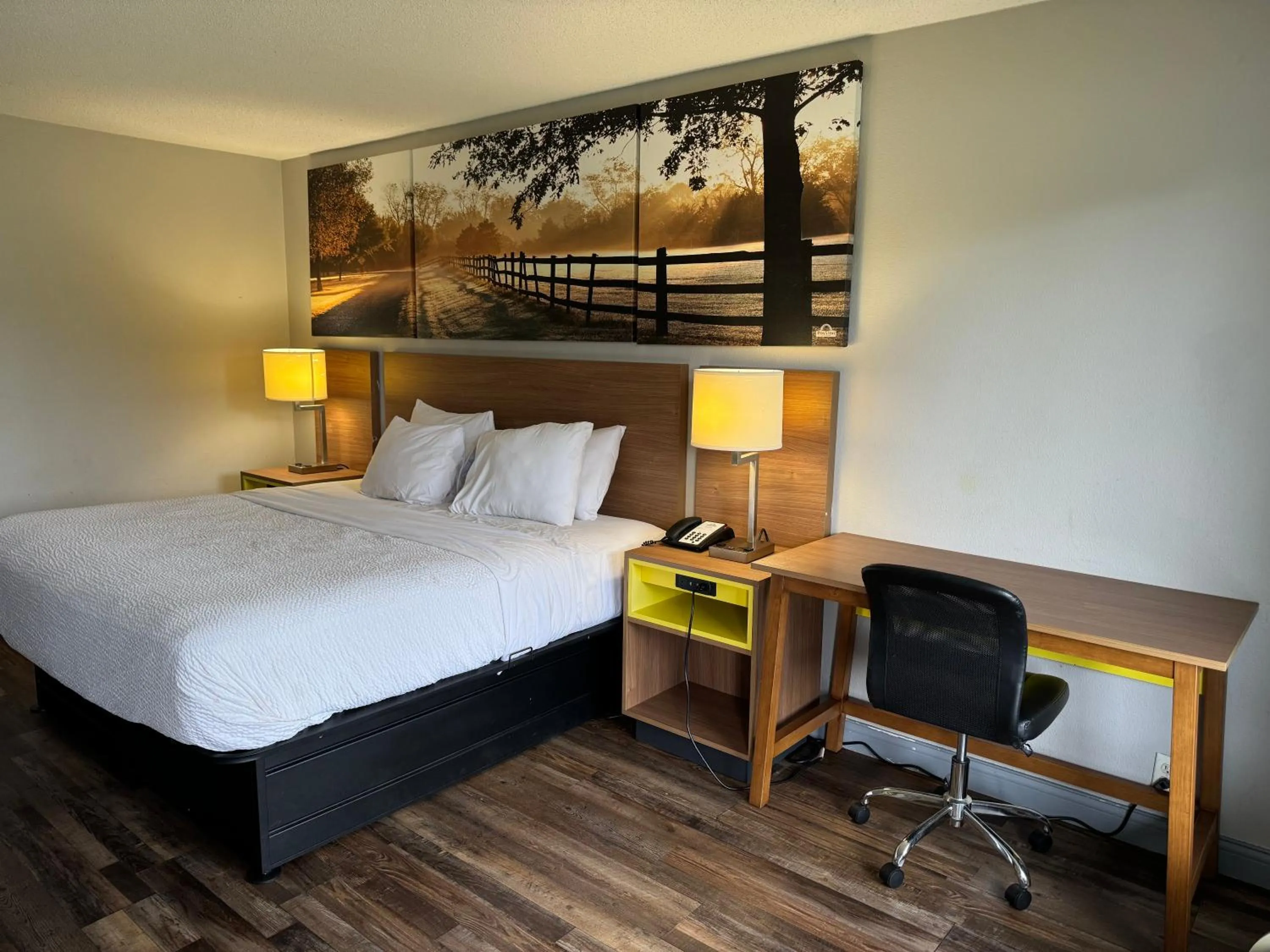 Bed in Days Inn by Wyndham Owensboro