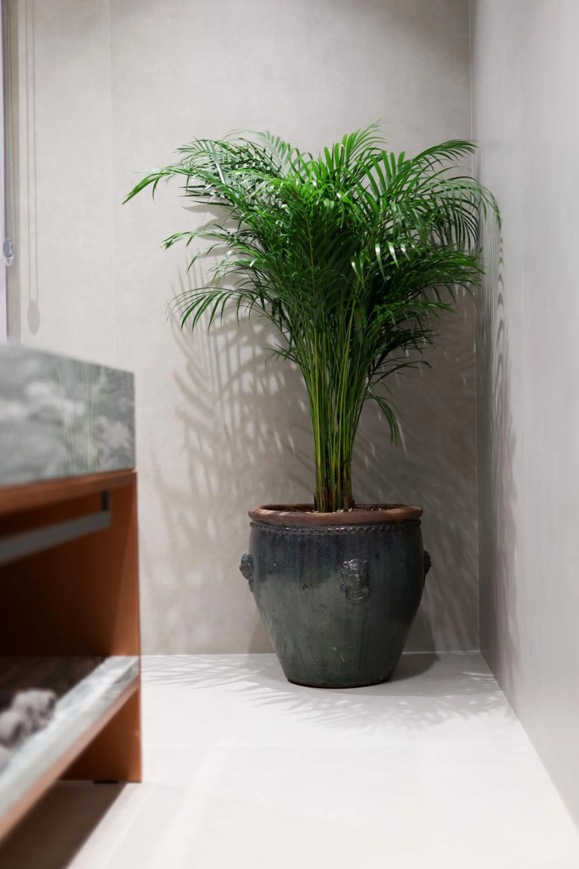 Decorative detail in Padam Boutique Hotel