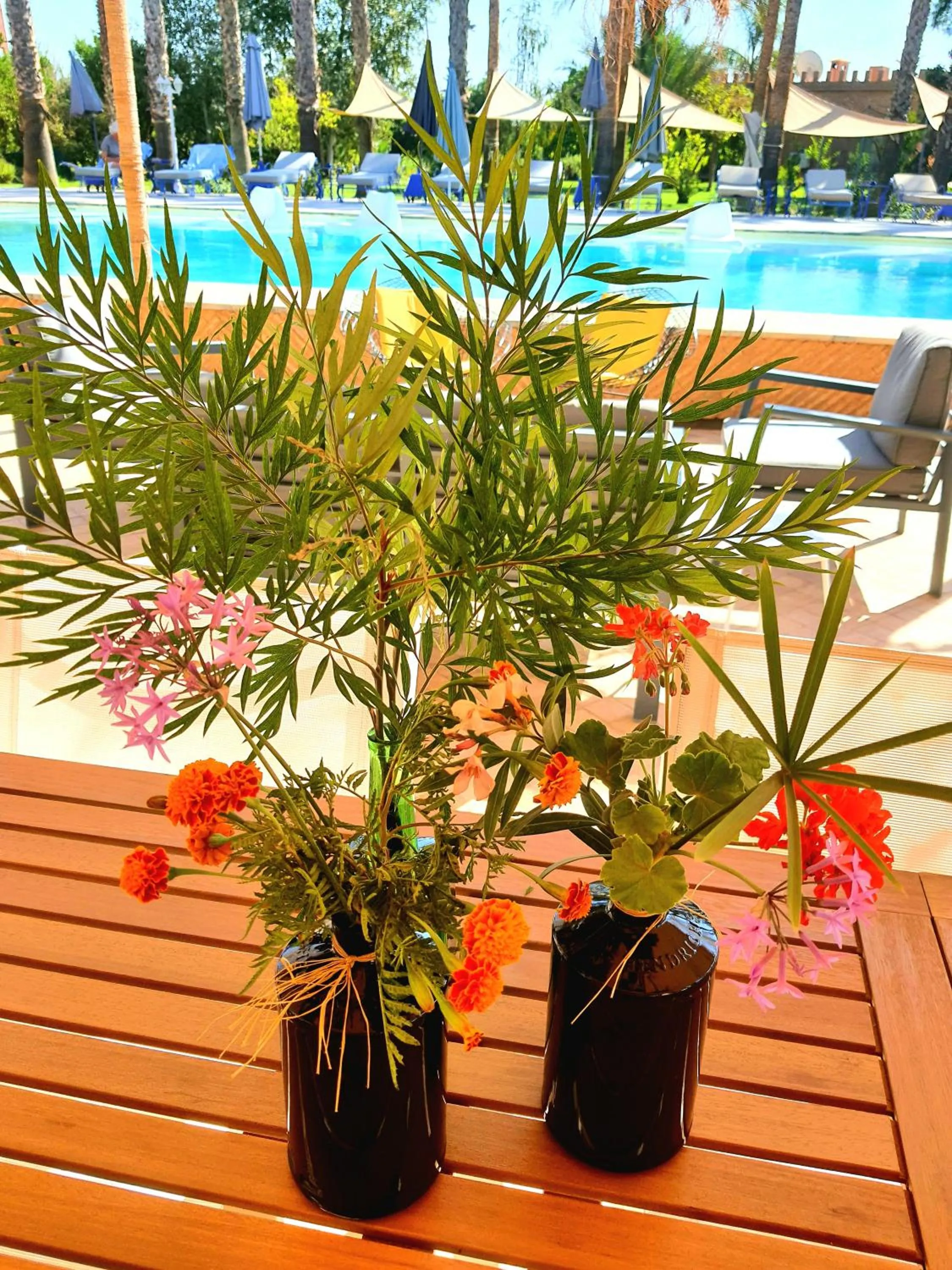 Pool view in Casa Taos