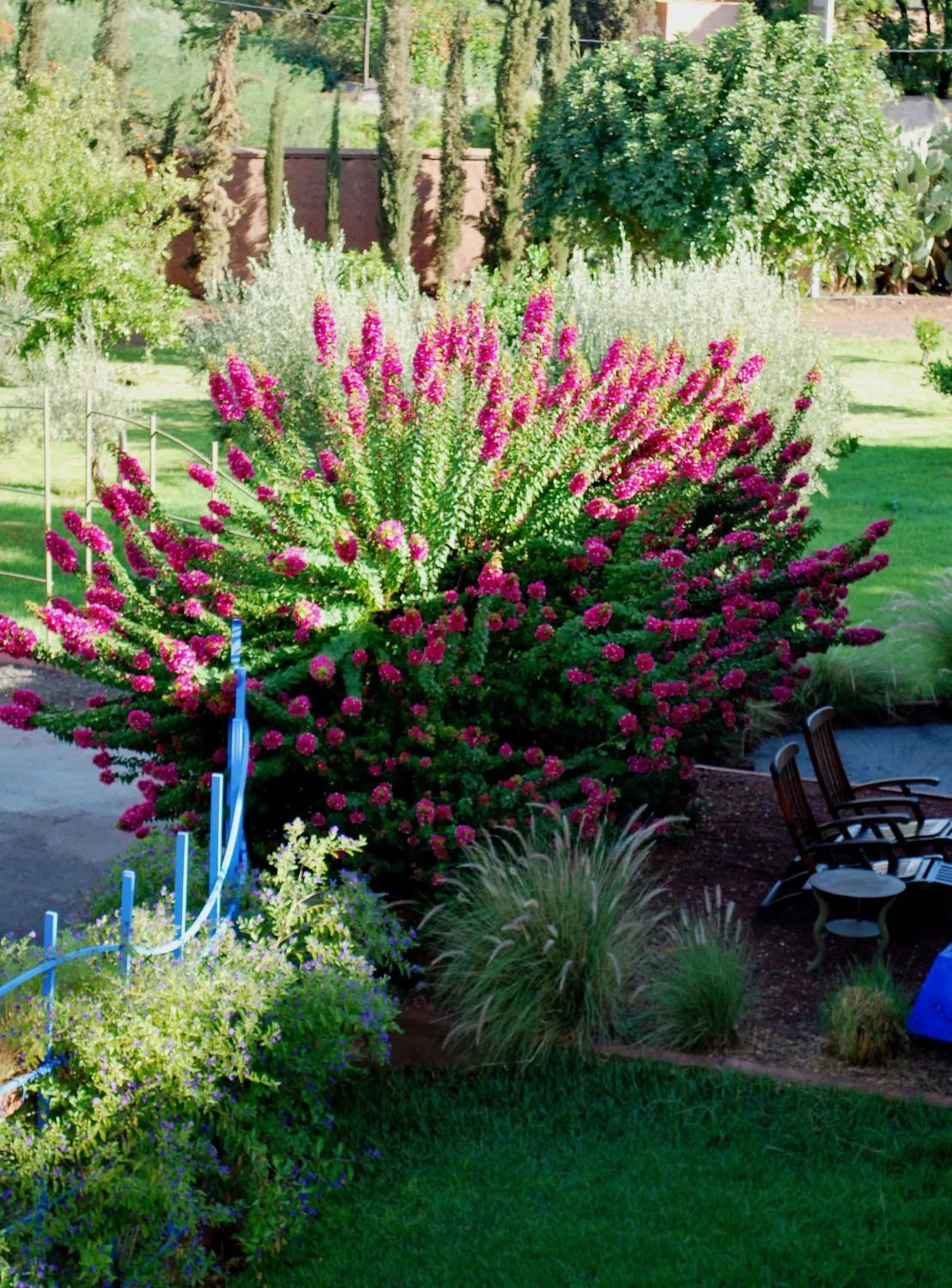 Garden view in Casa Taos