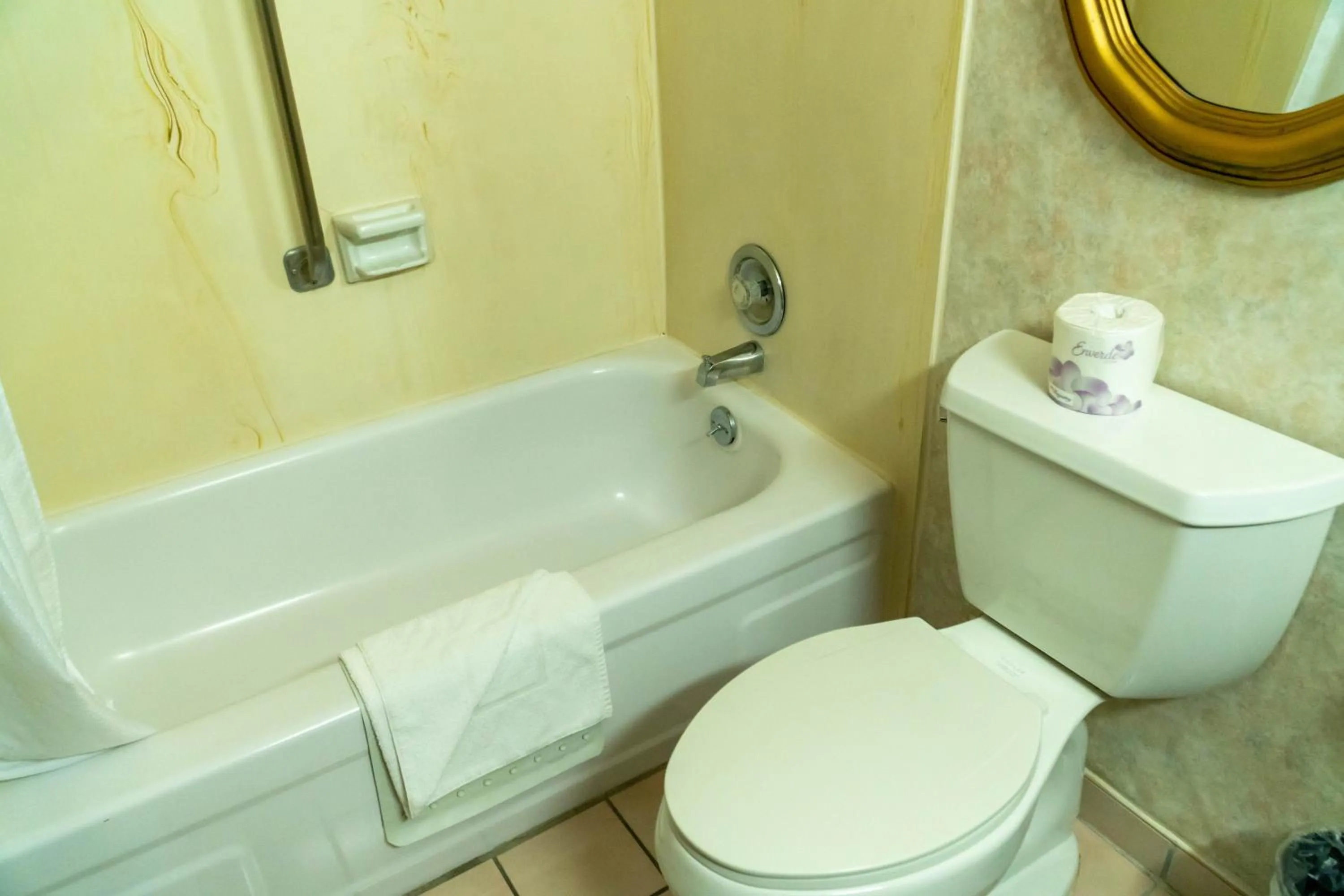 Toilet in Hotel Piccadilly