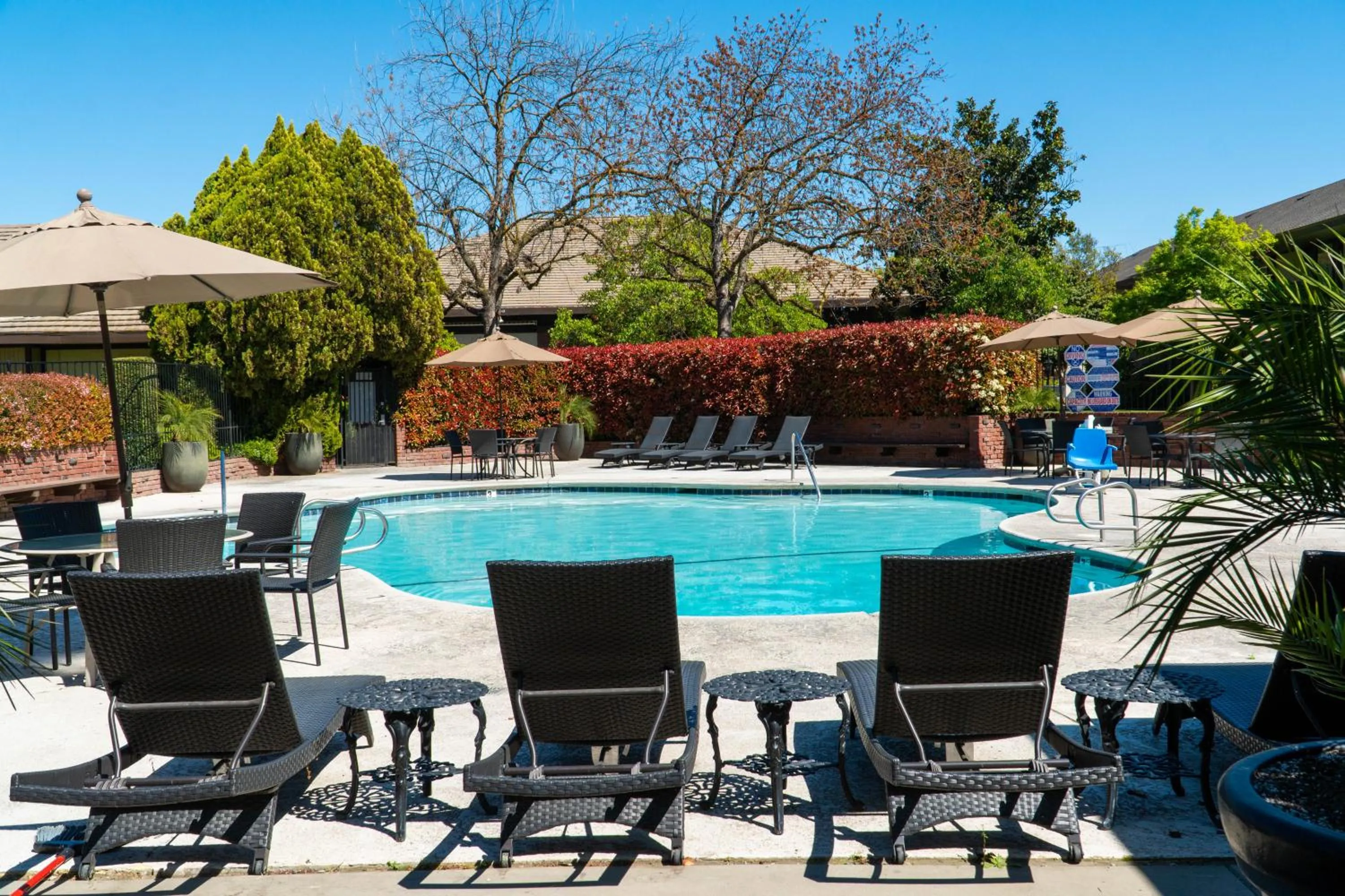 Swimming pool in Hotel Piccadilly