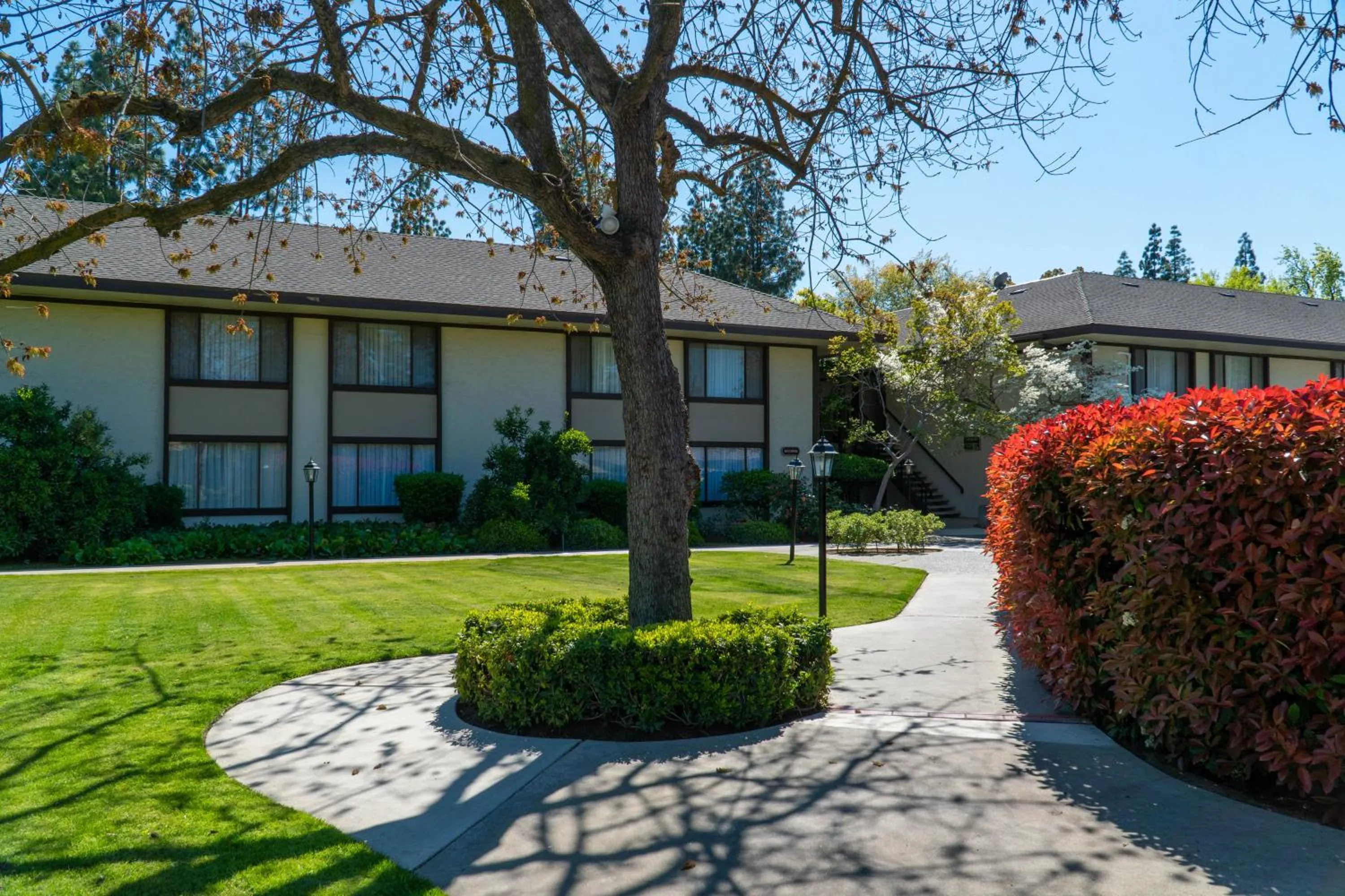 Property building in Hotel Piccadilly