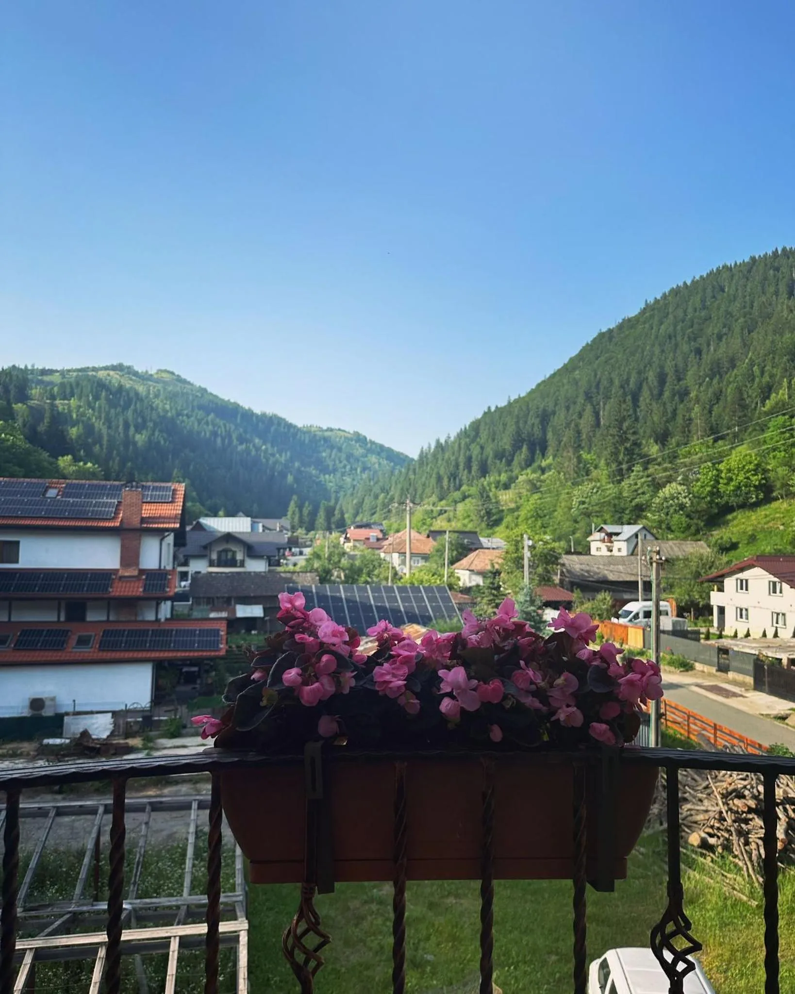 Natural landscape in Maison Platanus