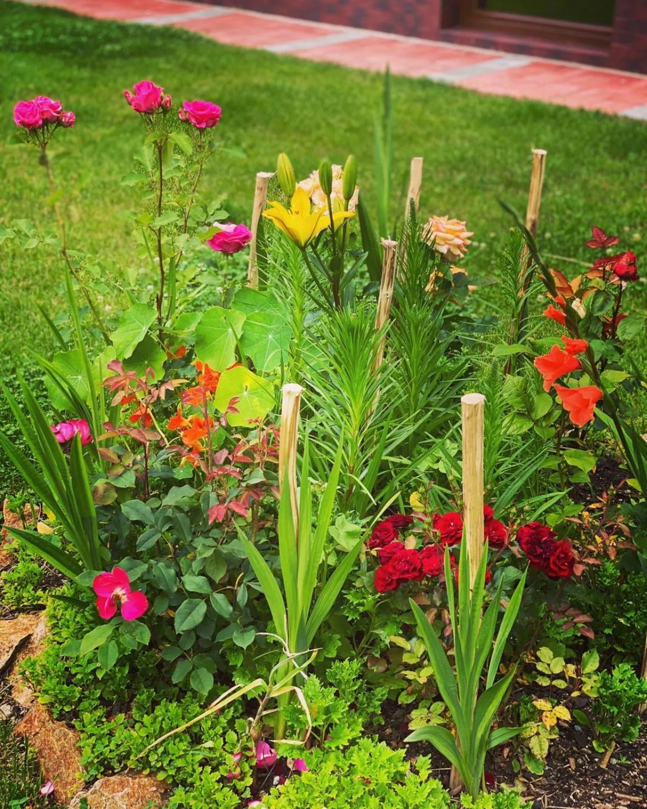 Garden in Maison Platanus
