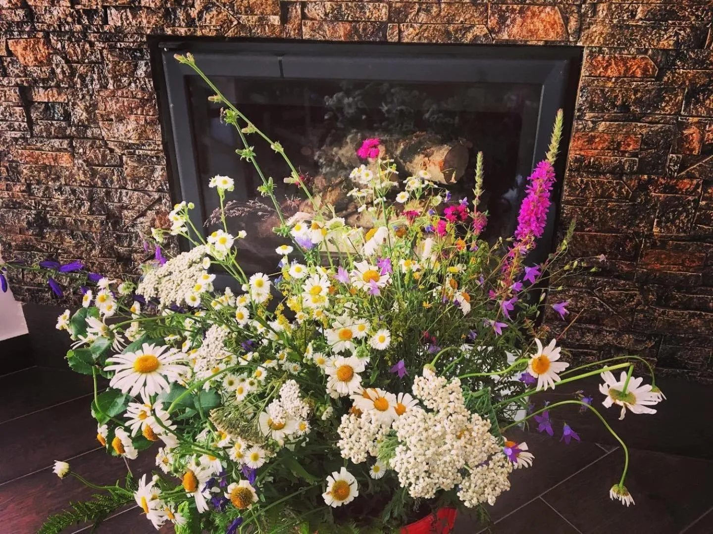 Garden in Maison Platanus